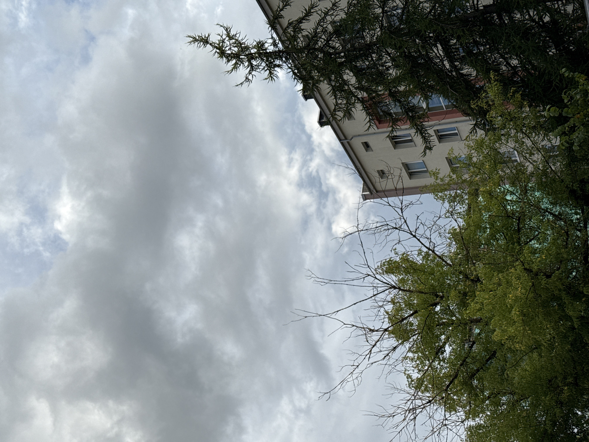 The image depicts a grey, overcast sky with scattered clouds, partially obscuring the upper portion of a building and trees. On the right side, a tall, dark green coniferous tree stands prominently in front of a light-colored apartment building. The building has multiple windows and appears to be several stories high. To the left of the coniferous tree, a deciduous tree with sparse, bare branches extends upwards, with some green foliage visible lower down. The overall scene is a candid shot of an urban environment, possibly taken from a slightly low angle, showcasing the interplay between the architecture and the surrounding vegetation under a cloudy sky. The image does not contain any people or visible actions.