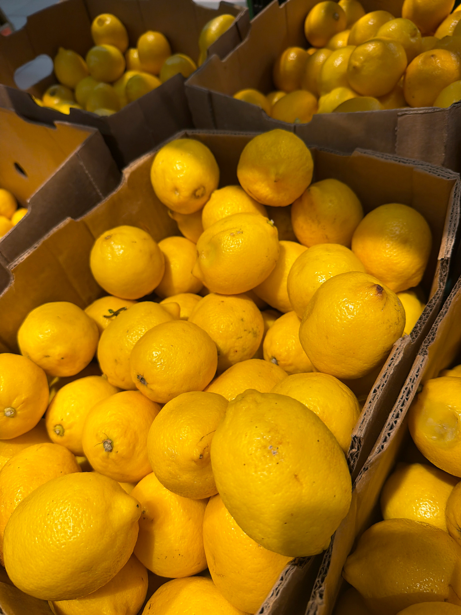 The image shows a close-up, overhead view of several boxes filled with lemons. The lemons are bright yellow and appear fresh, with some variations in size and shape. The boxes are made of cardboard and are stacked or arranged in a way that suggests a retail or wholesale setting, possibly a grocery store or market. The lighting is bright, highlighting the texture and color of the lemons. The scene is entirely focused on the produce, with no people or other objects visible. There is no specific information in the image that would indicate its location in Wrocław, Poland.