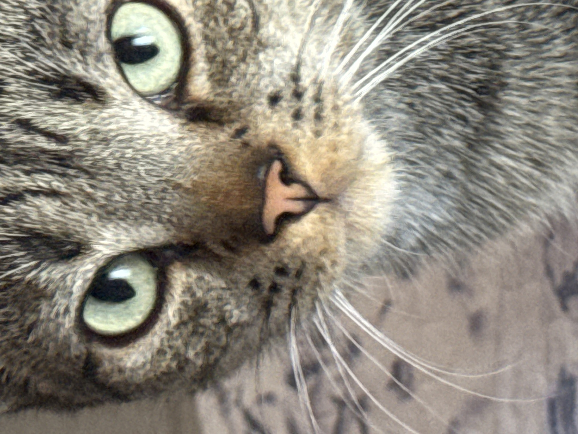 A close-up, eye-level, medium shot captures the face of a domestic shorthair cat. The cat has light green eyes and grey tabby markings on its fur. Its whiskers are long and white. The background is a muted, textured beige. The image is sharp and in focus, showcasing the intricate details of the cat's fur and facial features. There is no discernible background location.