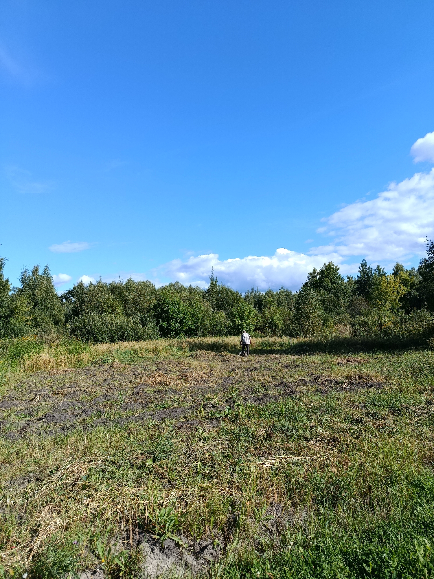 A single person, wearing a plaid shirt and dark pants, is walking across a field in the city of Vereya, Russia. The field is partially tilled and partially overgrown with grass. In the background, a dense forest lines the horizon under a bright blue sky with scattered clouds. The scene is likely a rural or semi-rural area, possibly on the outskirts of the city.