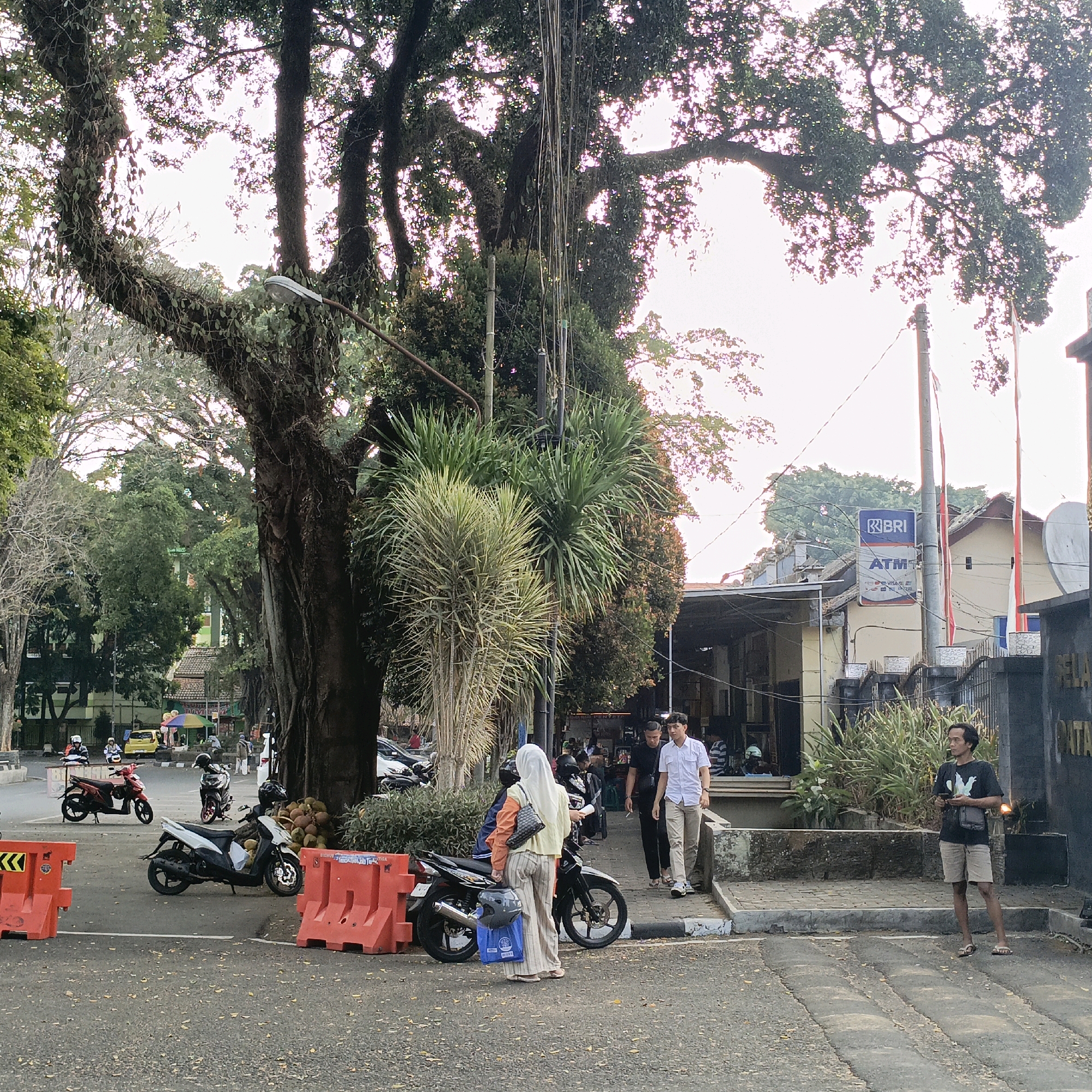 The image depicts a street scene in Salatiga, Indonesia, likely in a commercial or public area. A large, old tree with extensive foliage dominates the left side of the frame, with its branches reaching over a street. In the foreground, a paved road shows scattered fallen leaves. Orange traffic barriers are positioned on the road.
Several motorcycles are visible, including a red one parked on the left, a white and black one in the center, and another white and black motorcycle further back. A few people are present. Two men are walking on the sidewalk on the right, one in a white shirt and beige pants, the other in a black t-shirt and shorts. Another man stands on the sidewalk to the right of them, wearing a black t-shirt with a graphic and beige shorts. A woman wearing a hijab and an orange and yellow jacket over striped pants is standing next to a motorcycle on the left side of the image. In the background, there is a building with an ATM sign from "BRI" (Bank Rakyat Indonesia). Other structures and foliage are also visible, suggesting an urban environment. The sky is bright and appears to be during daylight, possibly late afternoon given the lighting.