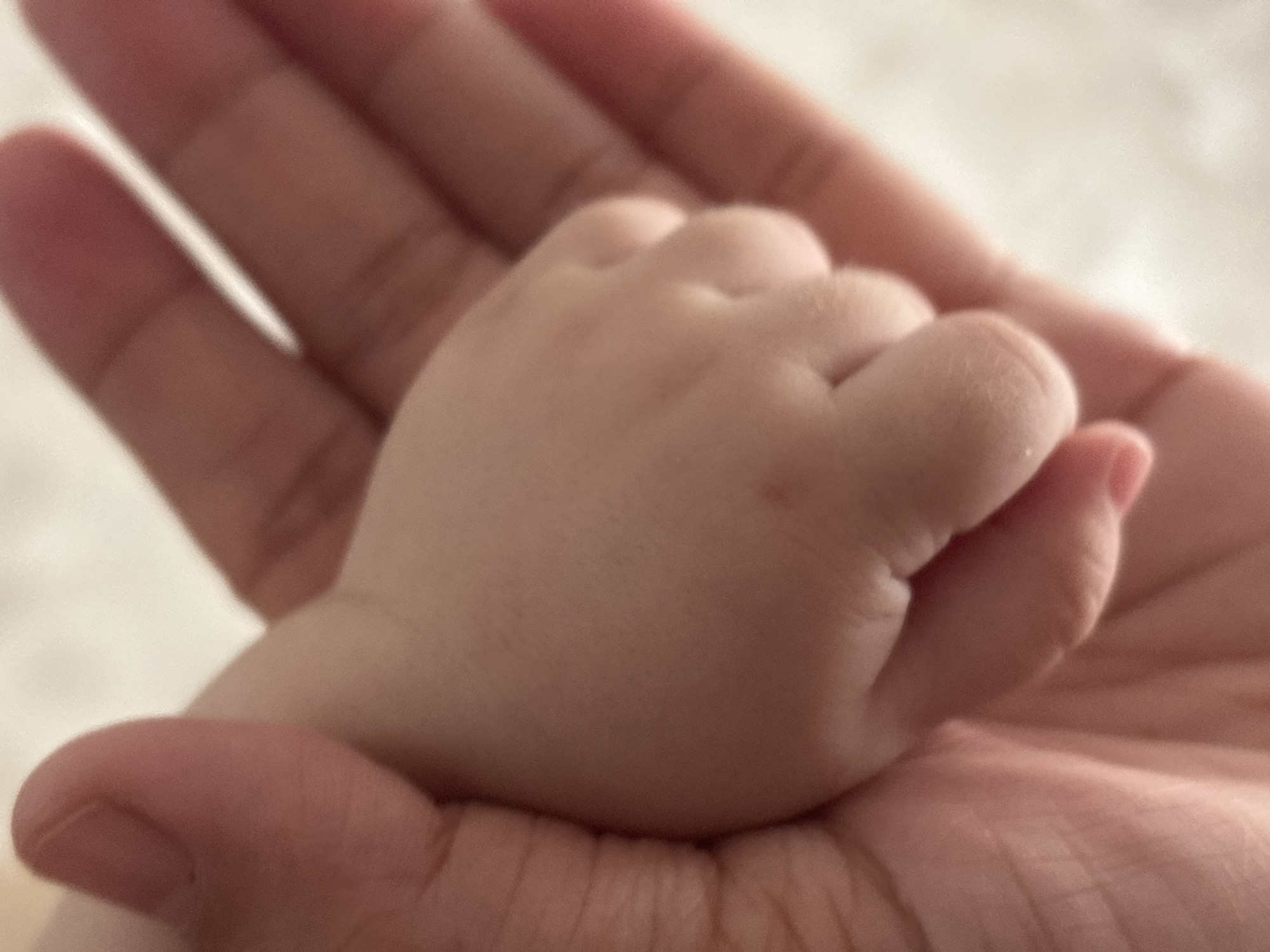 A close-up, shallow depth of field shot shows a baby's hand nestled within an adult's cupped palm. The infant's skin is smooth and pink, with visible creases on its fingers. The adult's hand, appearing larger and more textured, gently cradles the baby's hand. The background is softly blurred, suggesting an indoor setting. There are no discernible architectural features or environmental cues to indicate a specific location within Kyzylorda, Kazakhstan. The image focuses entirely on the intimate interaction between the two hands.