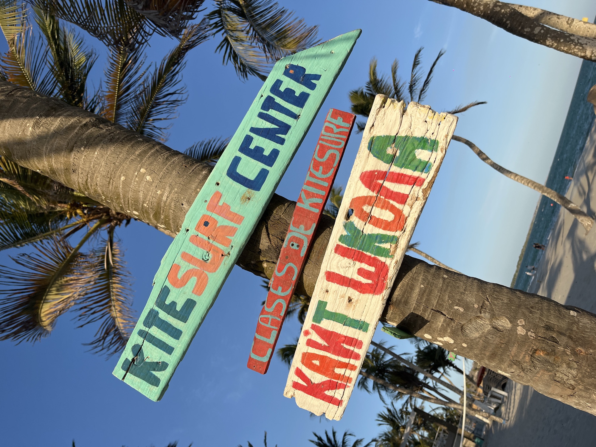 The image depicts three wooden signs attached to a palm tree in El Yaque, Venezuela. The signs advertise kite surfing. The top sign reads "KITE SURF CENTER" in blue and orange letters on a light blue background. The middle sign reads "CLASES DE KITESURF" in blue and red letters on a red background. The bottom sign reads "KAITI JUOUA" in red and green letters on a white, weathered background. Palm trees and a clear blue sky are visible in the background, along with a glimpse of the beach and ocean. The tree trunk shows natural texture and coloring.