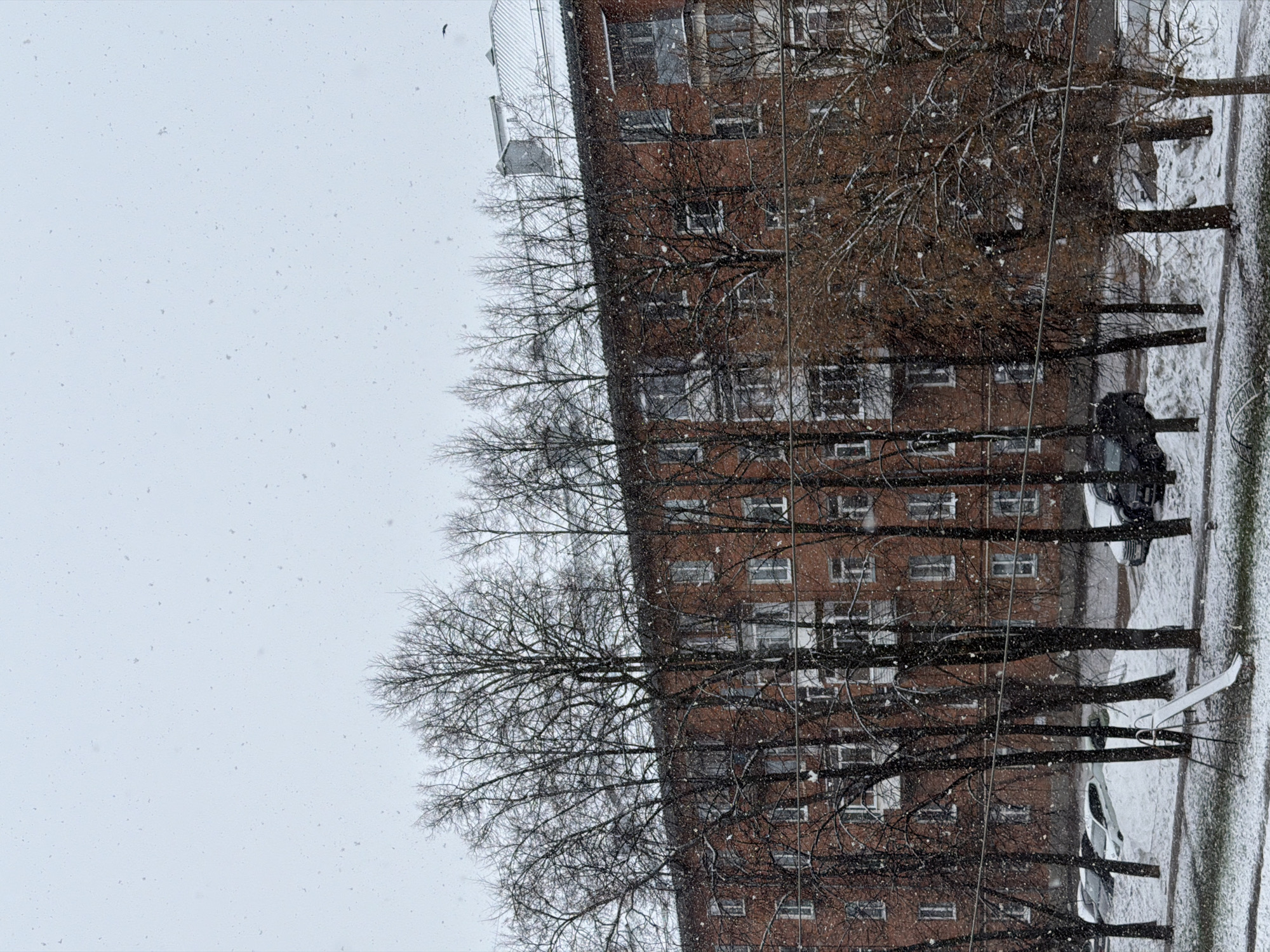 The image depicts a snowy scene in Votkinsk, Russia. A tall brick apartment building with numerous windows dominates the right side of the frame. Bare trees line the sidewalk in front of the building, their branches covered in light snow. Several parked cars are visible along the street. The left side of the image shows a light gray, overcast sky with falling snow.