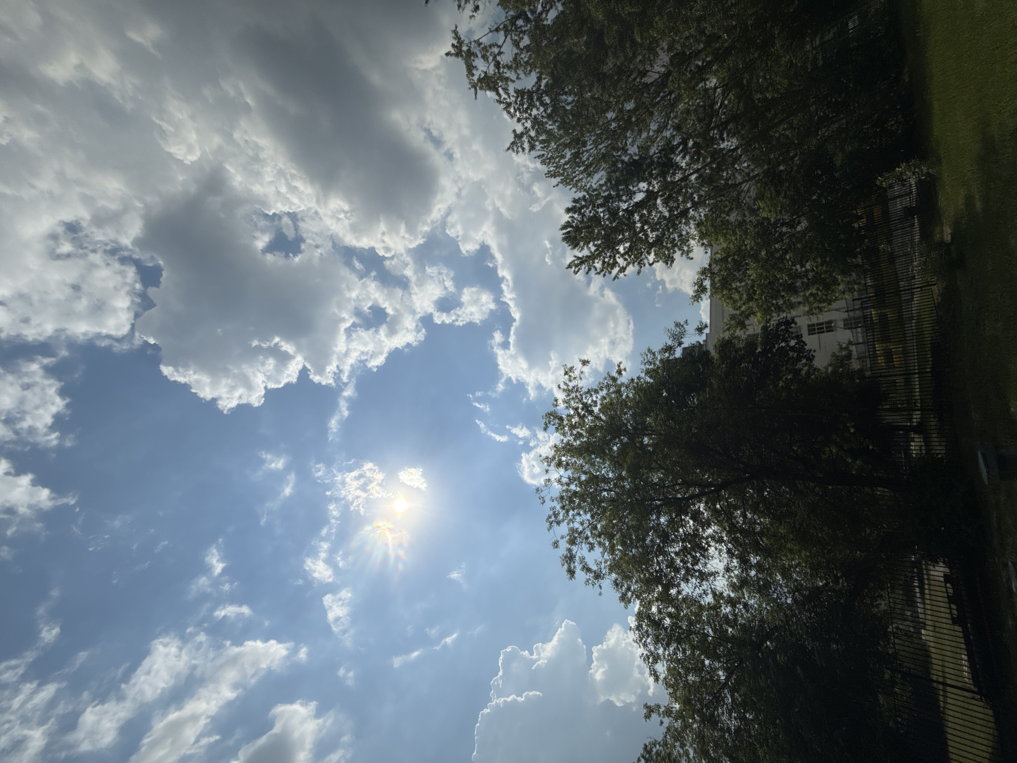 The image captures a sky filled with a mix of bright blue sky and fluffy white clouds, with the sun prominently visible and radiating light. The sun's rays create a starburst effect. In the lower portion of the image, the tops of several green trees are visible, with dense foliage. Behind the trees, a portion of a white building with windows can be seen. A black metal fence runs horizontally across the lower section of the image, with a grassy area beyond it. The scene appears to be outdoors in an urban or suburban setting, potentially a park or residential area. While the image itself does not contain specific markers to pinpoint its exact location within Moscow, Russia, such as unique architecture or signage, the overall composition suggests a contemporary urban environment consistent with many areas of the city.