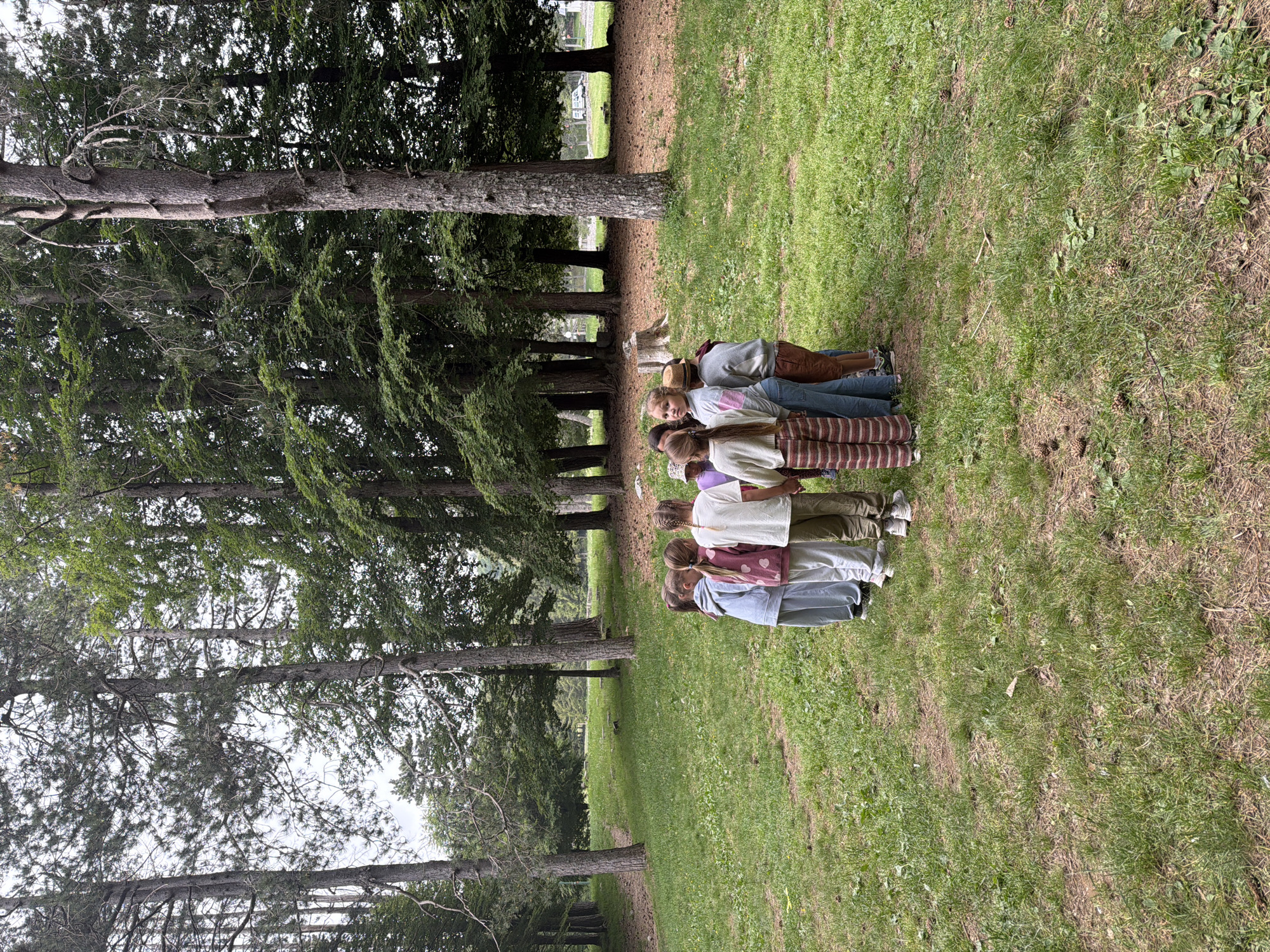 This photograph depicts a group of seven young children, primarily girls, standing in a line in a natural outdoor environment in Dolovi, Montenegro. The children, dressed in casual attire including tops, sweaters, pants, and sneakers, are positioned in the mid-ground, facing generally towards the camera. One child, third from the left, looks directly at the viewer with a neutral expression, while others look slightly away or are partially obscured. One child wears a hat.
The setting is characterized by a dense stand of tall, slender trees, likely conifers, that line the left side and extend into the background of the image, forming a natural wall. The ground is covered with green grass, interspersed with areas of drier grass and exposed earth. The scene suggests a park, forest edge, or rural clearing.
The lighting indicates daytime, likely under diffused or overcast conditions, as there are no strong shadows. The overall mood appears calm and natural. The children seem to be standing in formation, possibly posing for a picture or waiting for an activity to begin. There is no visible text present in the image.