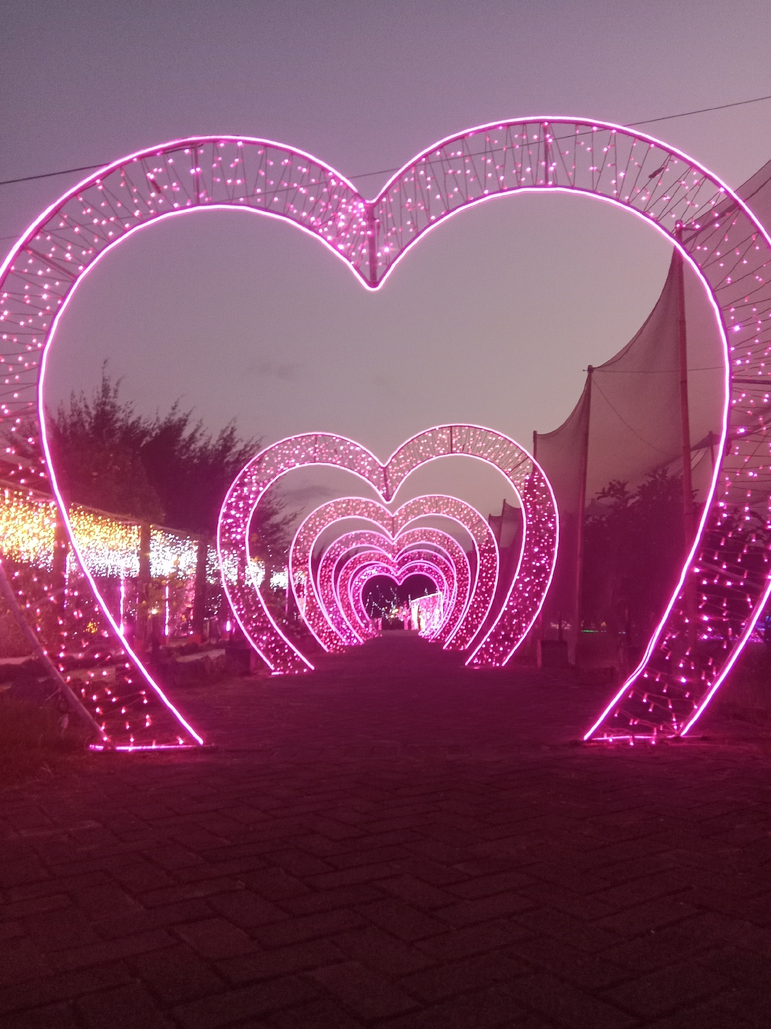The image depicts an outdoor pathway illuminated by a series of large, pink, heart-shaped arches made of neon lights and small bulbs. The arches create a tunnel-like effect, receding into the distance. The pathway appears to be paved with dark rectangular stones. In the background, trees and other decorative lights are visible, suggesting a festive or romantic setting. The sky is a soft, dusky purple, indicating it is either dawn or dusk. The scene is likely part of a public space or attraction in Probolinggo, Indonesia, possibly decorated for a special occasion. There are no people or specific actions depicted in the image.