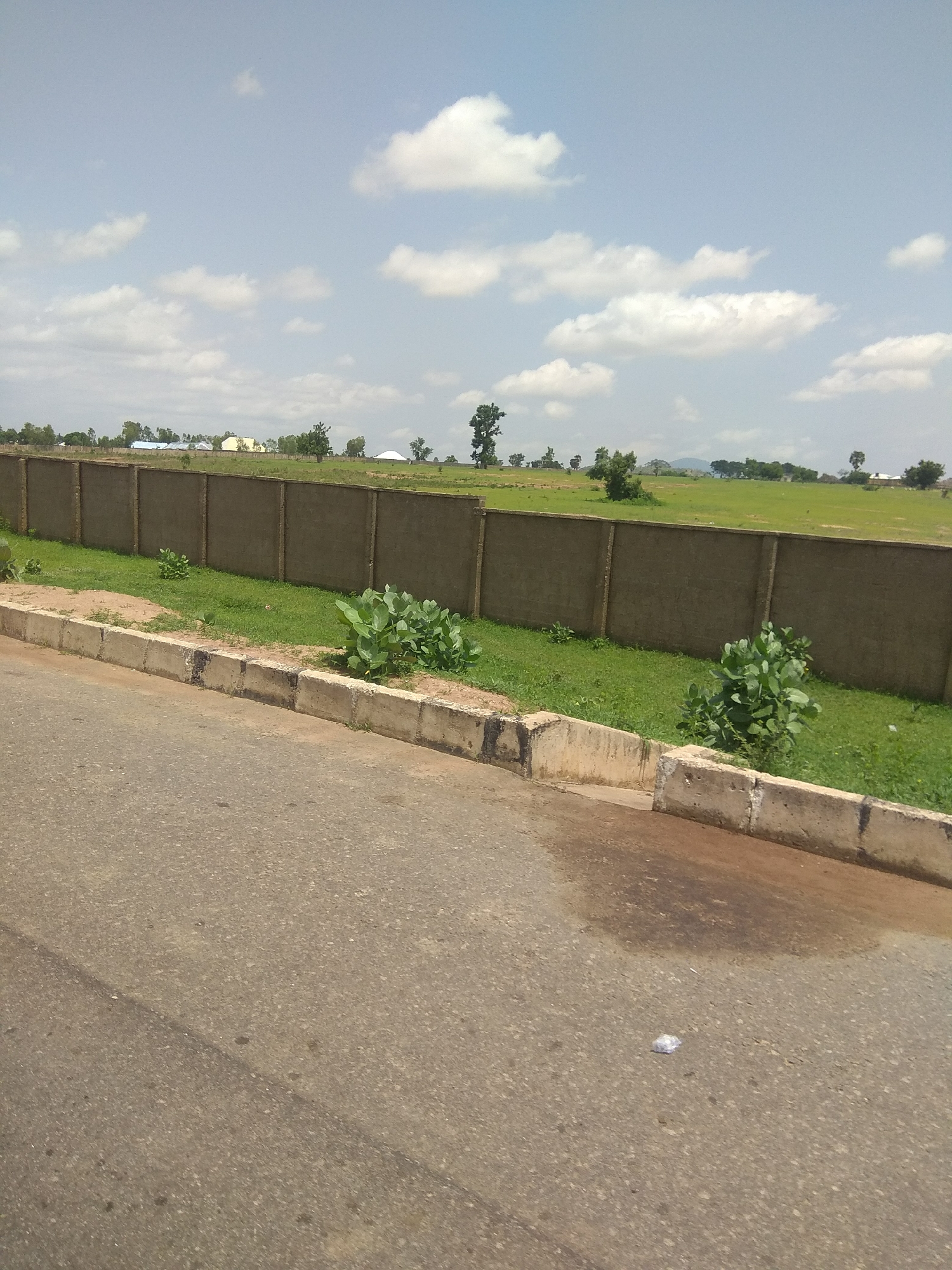 The image depicts an outdoor scene in Jalingo, Nigeria, featuring a long concrete wall dividing a paved road from a green field. The road occupies the foreground, with a concrete curb running along its edge. Beyond the curb, a strip of grass and some large leafy plants are visible. The concrete wall, which appears to be approximately 8-10 feet high, stretches across the middle ground. The field behind the wall is lush green and appears to be an open area with scattered trees and some buildings visible in the distance, suggesting a suburban or semi-rural setting. The sky above is partly cloudy, with white cumulus clouds against a blue backdrop. There are no people or animals visible in the image. The overall scene conveys a sense of an undeveloped or partially developed area.