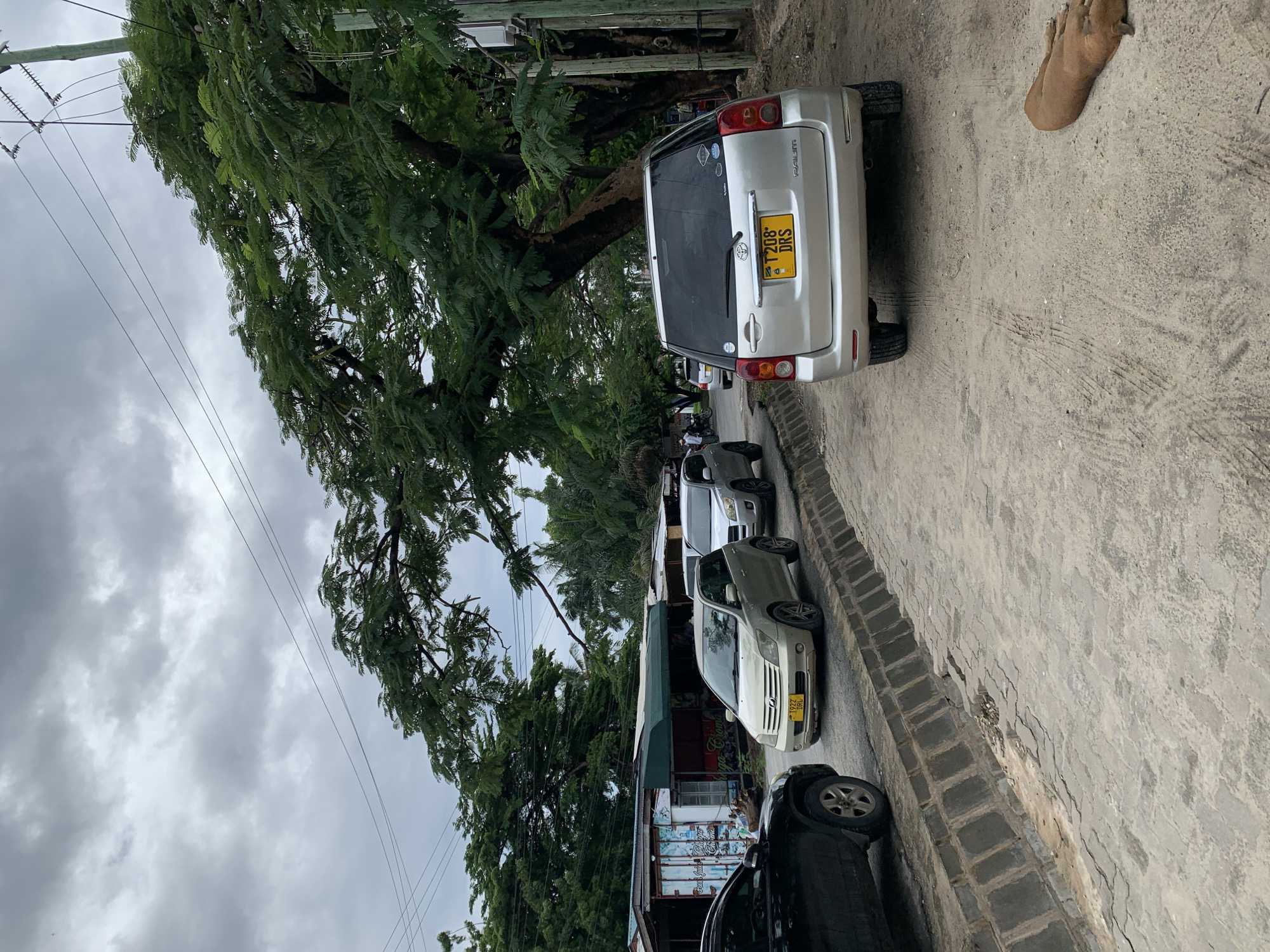 The scene shows a street in Dar es-Salaam, Tanzania, lined with several parked cars. A large tree with dense foliage overhangs the street, casting shade. The sky is overcast. The cars are parked along the edge of a paved road. The presence of vehicles and power lines suggests an urban environment. There is a wooden object (possibly wood carving of feet) lying on the ground next to the last parked car.