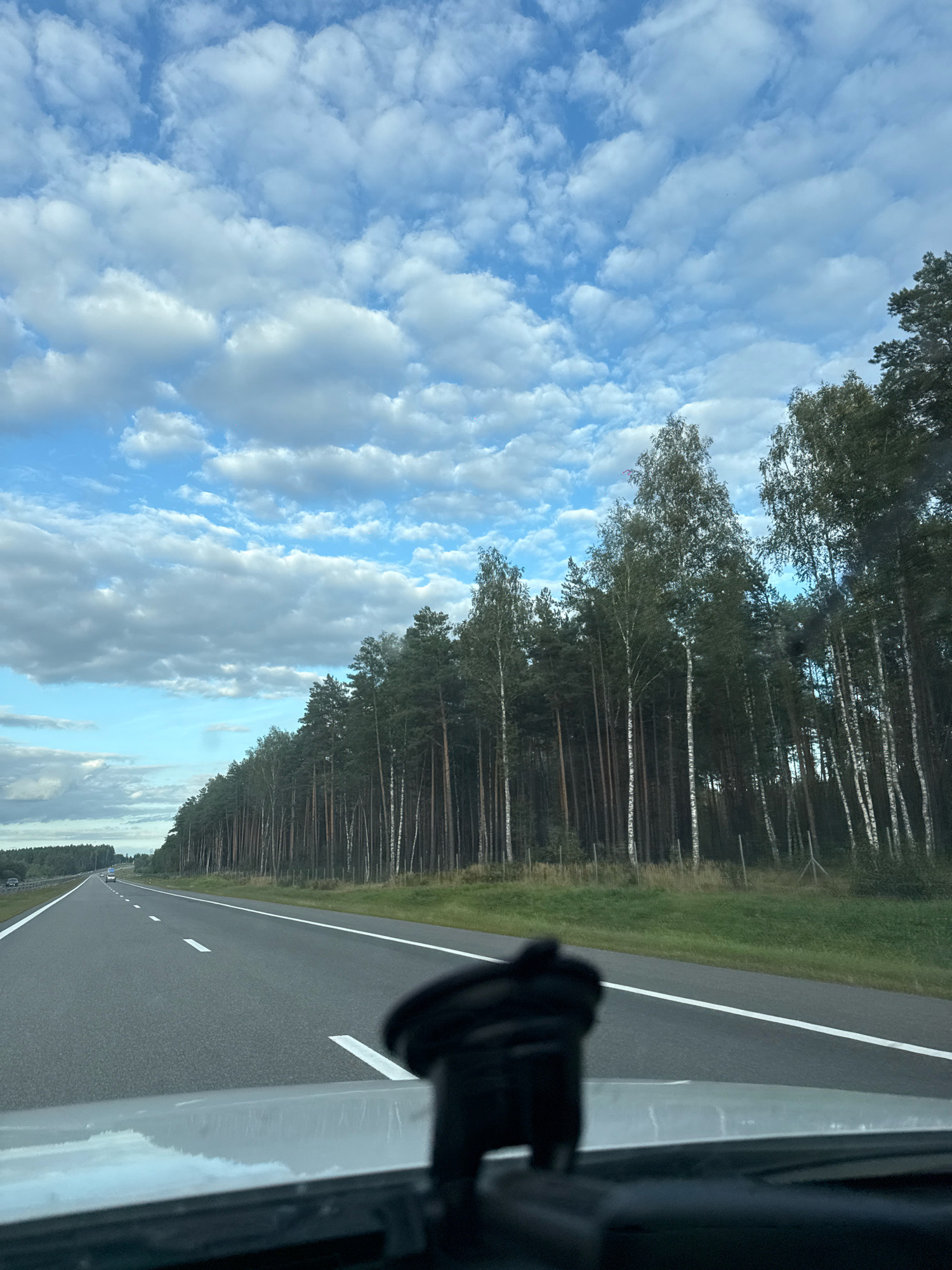 The image depicts a view from inside a vehicle looking out at a road and a forest. A highway stretches into the distance, bordered on the right by a dense forest of pine and birch trees. The sky is filled with a mix of white and gray clouds against a blue backdrop. The foreground shows the interior of the vehicle, with the dashboard and a black object, possibly a phone mount or a camera accessory, visible. The environment suggests a rural or highway setting outside a city, likely in an area with extensive forests. There are no people directly visible in the scene.