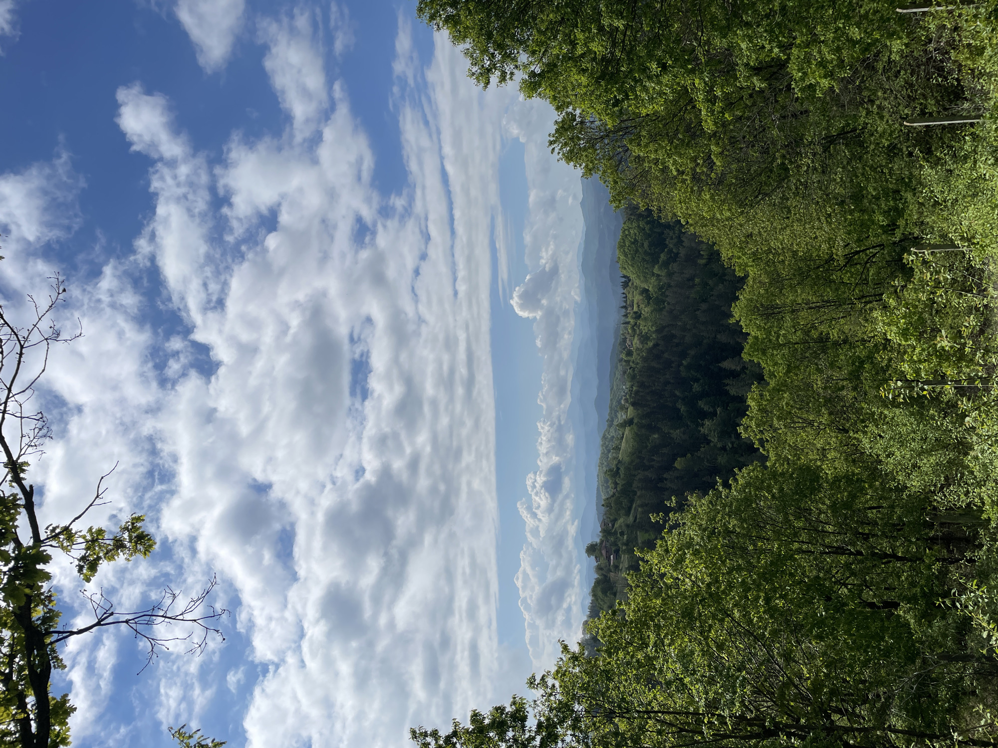 The image shows a view from a forested area in Presoka, Bulgaria, looking out towards a landscape of layered mountains under a partly cloudy blue sky. The edges of the frame are dominated by green trees, typical of a forest setting. A distant mountain range is visible through a break in the trees, receding into the hazy distance. The sky is filled with white and grey clouds, with patches of blue visible between them. The image is taken from an elevated position, suggesting the vantage point is on a hillside or mountain slope.