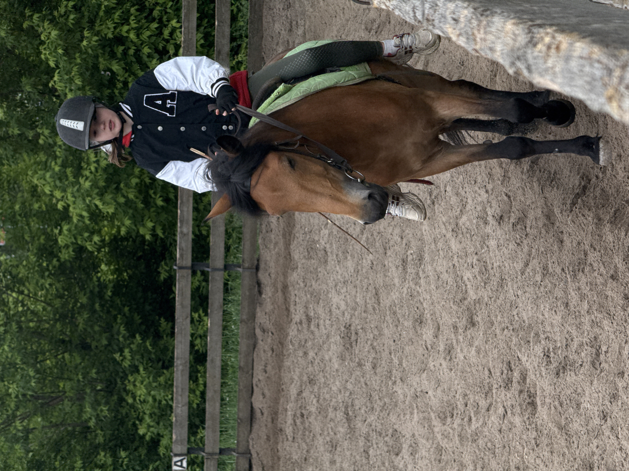 A young person wearing a helmet and a varsity jacket with a large "A" is riding a brown horse in what appears to be an outdoor arena with a sand surface. The horse has black legs and a black mane. The rider is wearing dark riding pants and white sneakers. A wooden fence runs along the edge of the arena, with trees visible in the background. The location cannot be determined with the information provided.
