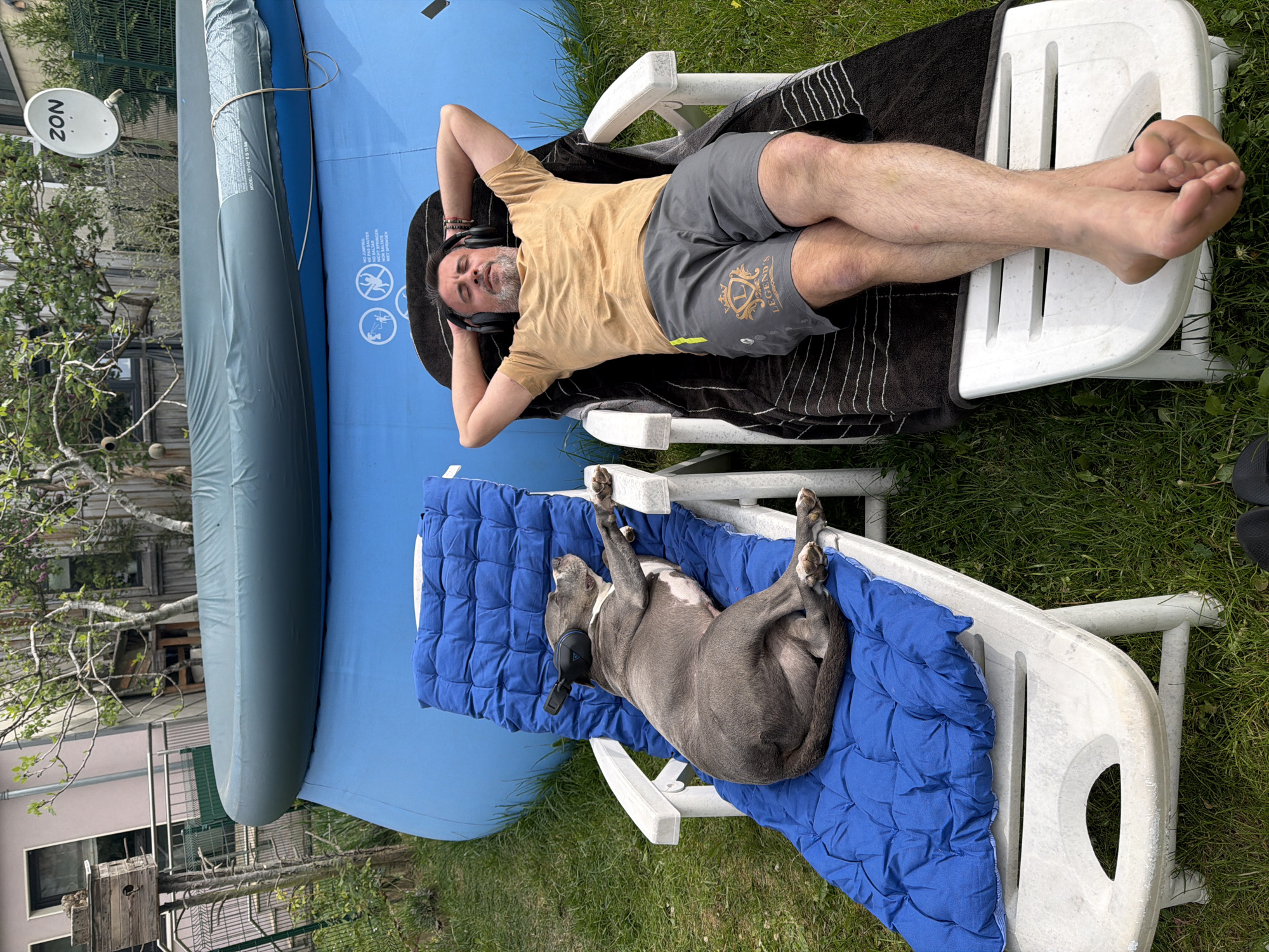 A man and a dog are lounging on chairs in a backyard setting. The man is lying on a white plastic lounge chair, with a black striped towel beneath him. He wears a tan t-shirt, gray shorts, and black headphones. He has his hands behind his head. Next to him, a blue inflatable pool stretches across the frame.
The dog, a gray pitbull, is stretched out on another white plastic lounge chair with a blue quilted cushion. The dog also wears headphones. The grass is green.
In the background, there is a fence, trees, and glimpses of a house. A "ZON" satellite dish is affixed to a building. The location is Esch-sur-Alzette, Luxembourg.