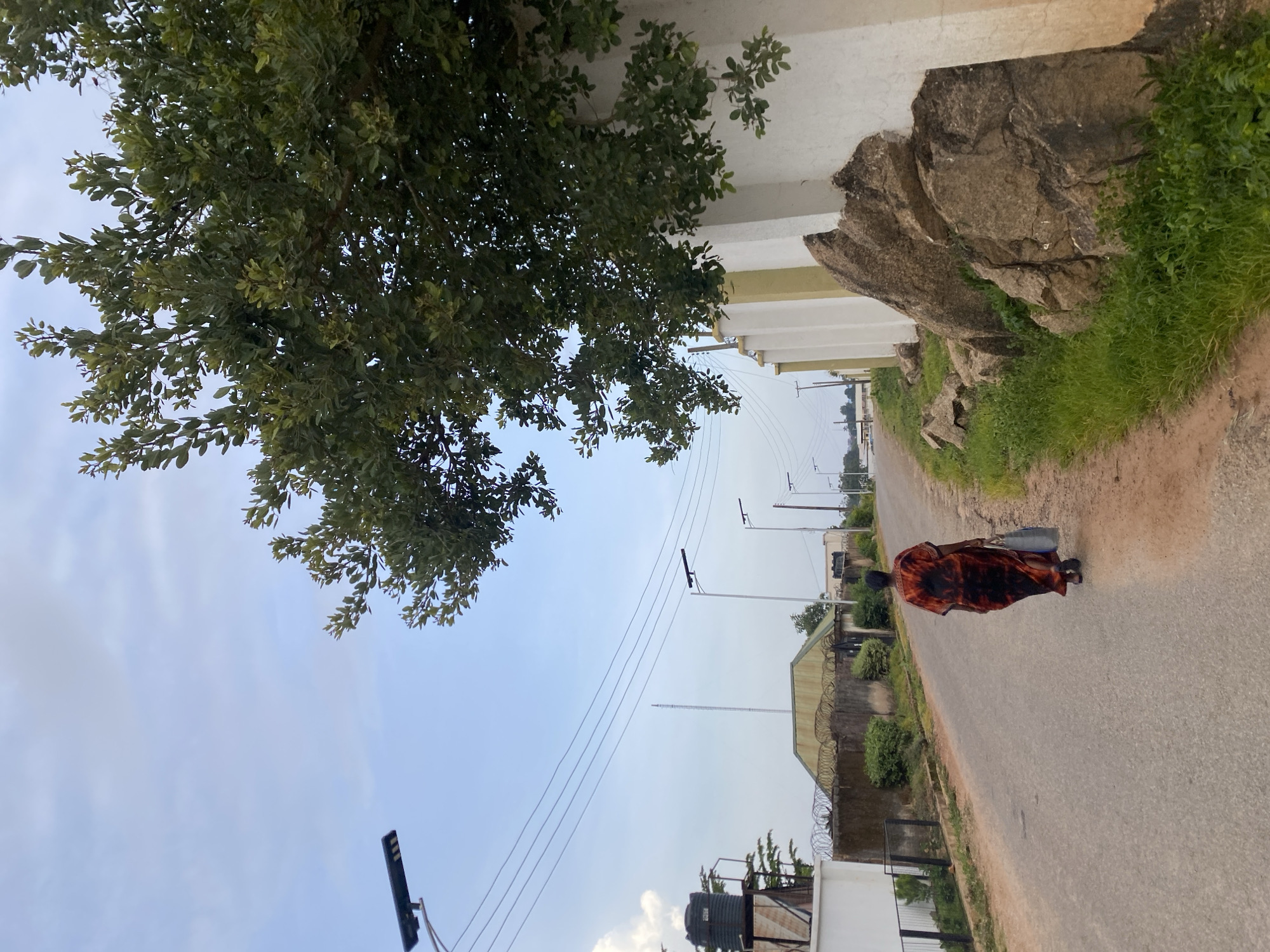 A woman in a long, patterned orange and black dress walks away from the camera on an asphalt road in Barikin Jirga Summa, Nigeria. She carries a light blue bag in her right hand. The road is bordered by a dirt shoulder and grass. On the right side of the road, a white wall with cream-colored pilasters runs along the property line, with large rocks and vegetation at its base. A large tree with green leaves extends over the wall and road from the right. On the left side of the road, a low wall topped with barbed wire encloses a property with a corrugated metal roof building and some trees. Several solar-powered streetlights are visible along the road, and power lines are strung overhead. The sky is overcast with a pale blue hue.