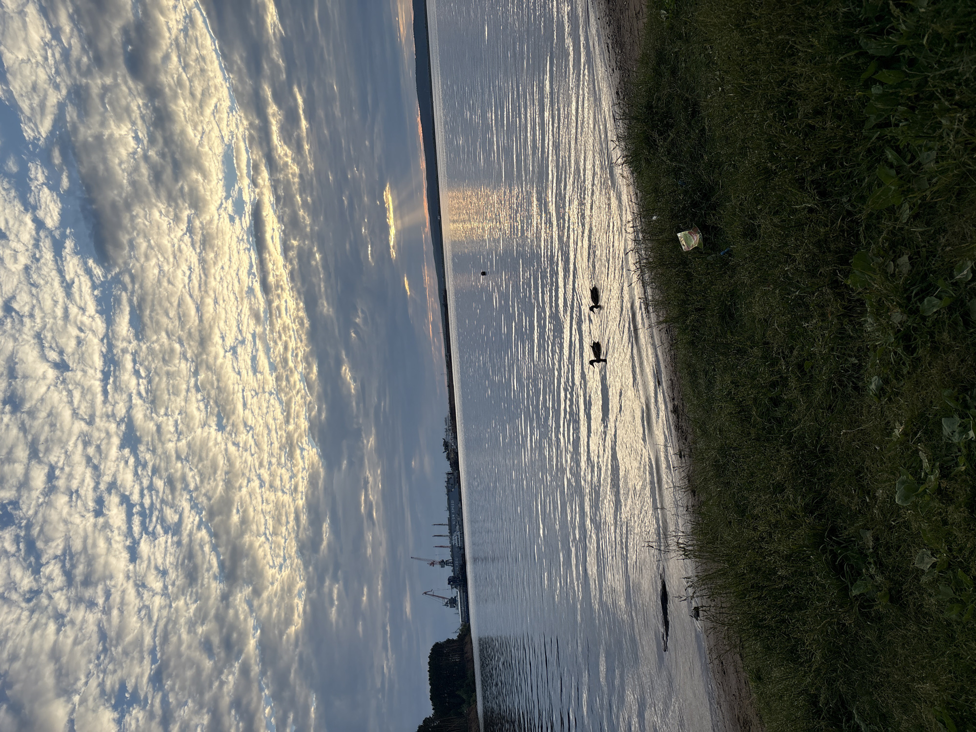 This is an outdoor, eye-level shot of a body of water with a shore in the foreground and industrial cranes in the distance. The sky is filled with dappled, white and gray clouds, with a sliver of sunlight breaking through on the horizon. The water is calm with ripples, and a few ducks are swimming near the shore. The shore is covered in green grass and sand. In the background, there are trees on the left and industrial structures with cranes on the right. This scene is likely located along the Kama River in Chaikovsky, Russia, given the presence of industrial facilities and a large body of water characteristic of the region.