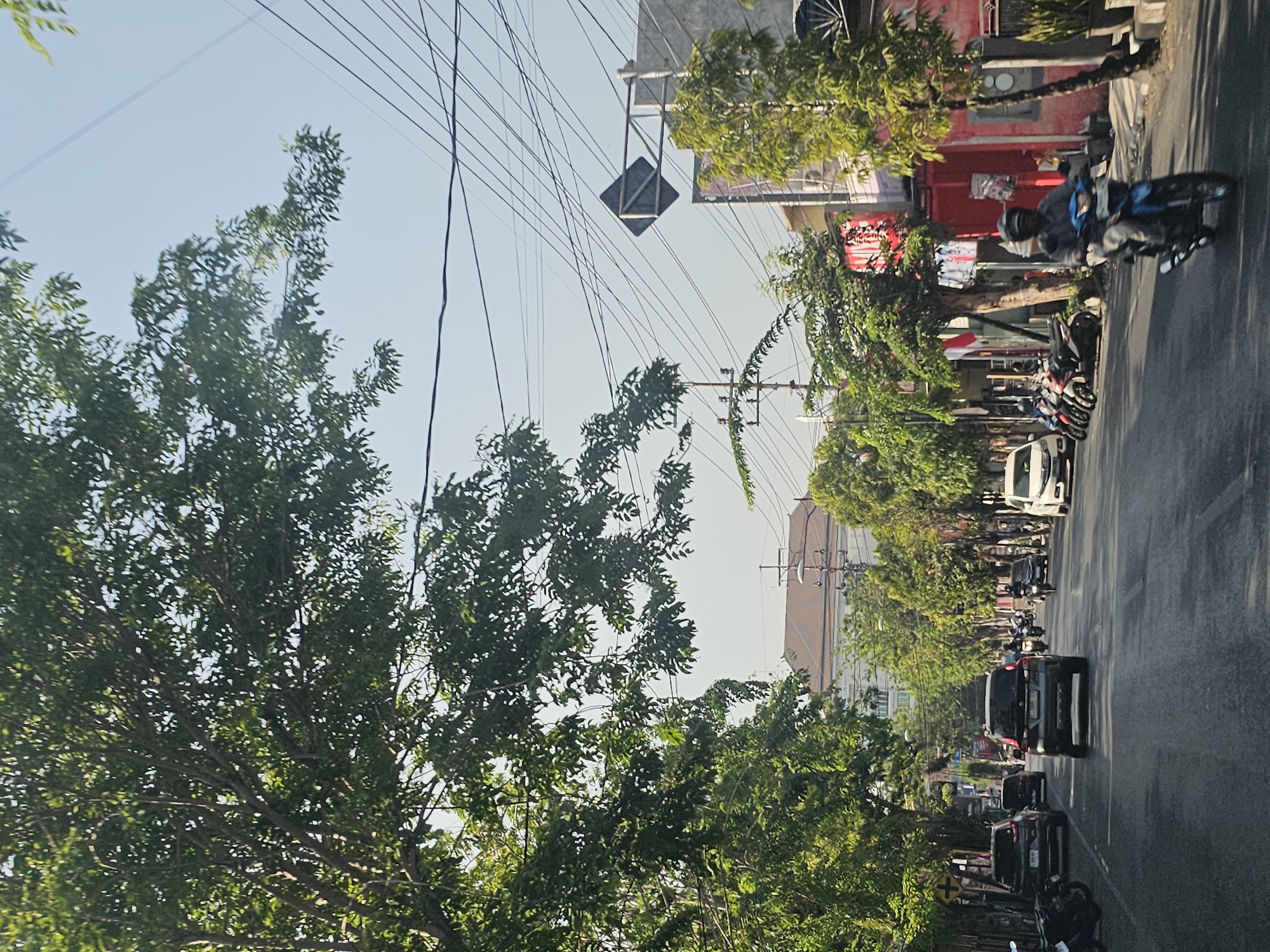 The image shows a street scene in Sidoharjo, Indonesia, with a clear sky and bright daylight. Lush green trees line both sides of the asphalt road, casting shadows and creating a canopy effect. A variety of vehicles are visible, including several cars and numerous motorcycles. On the right side of the road, a man wearing a blue shirt and helmet is riding a blue motorcycle. Further down the street, a white car is parked, and on the left, several motorcycles are parked alongside the road. Buildings with red and gray facades, some with colorful banners and signs, are present along the street. Overhead, a complex network of power lines crisscrosses the sky. In the background, a large building with a terracotta-colored roof is visible. The overall impression is of a bustling urban street on a sunny day.
