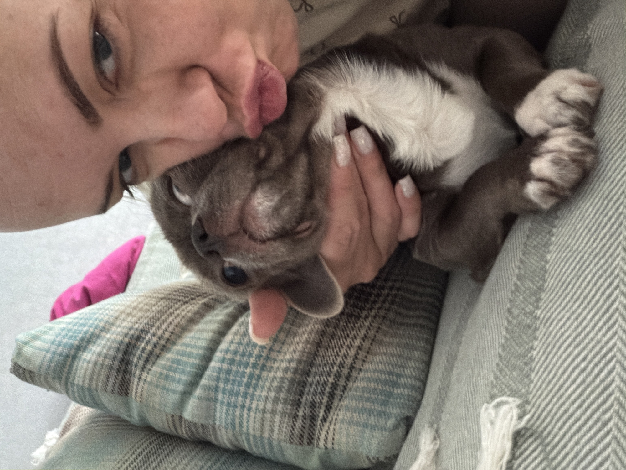 A woman with light skin, dark eyebrows, and grey eyes is nuzzling a grey and white cat with her face. Her lips are puckered, and her tongue is slightly visible. The cat is lying on a blue and grey plaid pillow, held by the woman's hand, which has glittery white nail polish. The background appears to be a grey herringbone-patterned blanket. There is no information to indicate that the scene is in the city of Votkinsk, Russia.