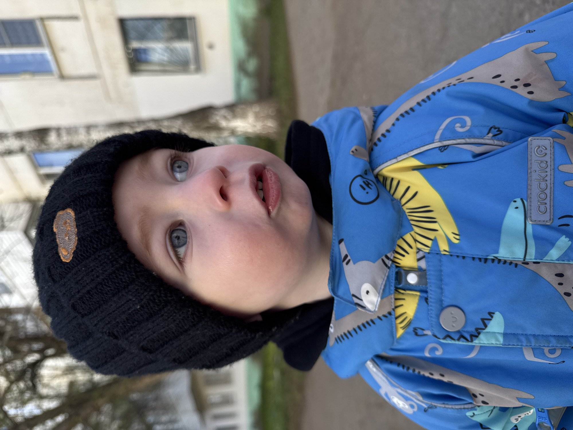 A young child, likely a toddler, is captured in a close-up, rotated portrait outdoors in Chaikovsky, Russia. The child, looking upwards with a curious and slightly pouty expression, has bright blue eyes, rosy cheeks, and a slightly open mouth revealing their lower teeth. They are wearing a black knitted winter hat with a small, textured brown patch on the side, and a vibrant blue winter jacket.
The jacket is adorned with a playful cartoon pattern featuring grey animals, including what appear to be seals or walruses and raccoons, interspersed with yellow elements resembling palm fronds or abstract stripes. Notable details on the jacket include a grey brand label on the sleeve that reads "CROCKID ©", a small "HI!" speech bubble graphic, a zipper, and grey buttons. The child's warm clothing suggests cool or cold weather conditions.
The background is softly blurred, showing parts of a light-colored building with dark rectangular windows. Indistinct natural elements, possibly bare trees or bushes, are also visible, hinting at an urban or suburban outdoor setting. The image captures a moment of childlike wonder during daytime.
