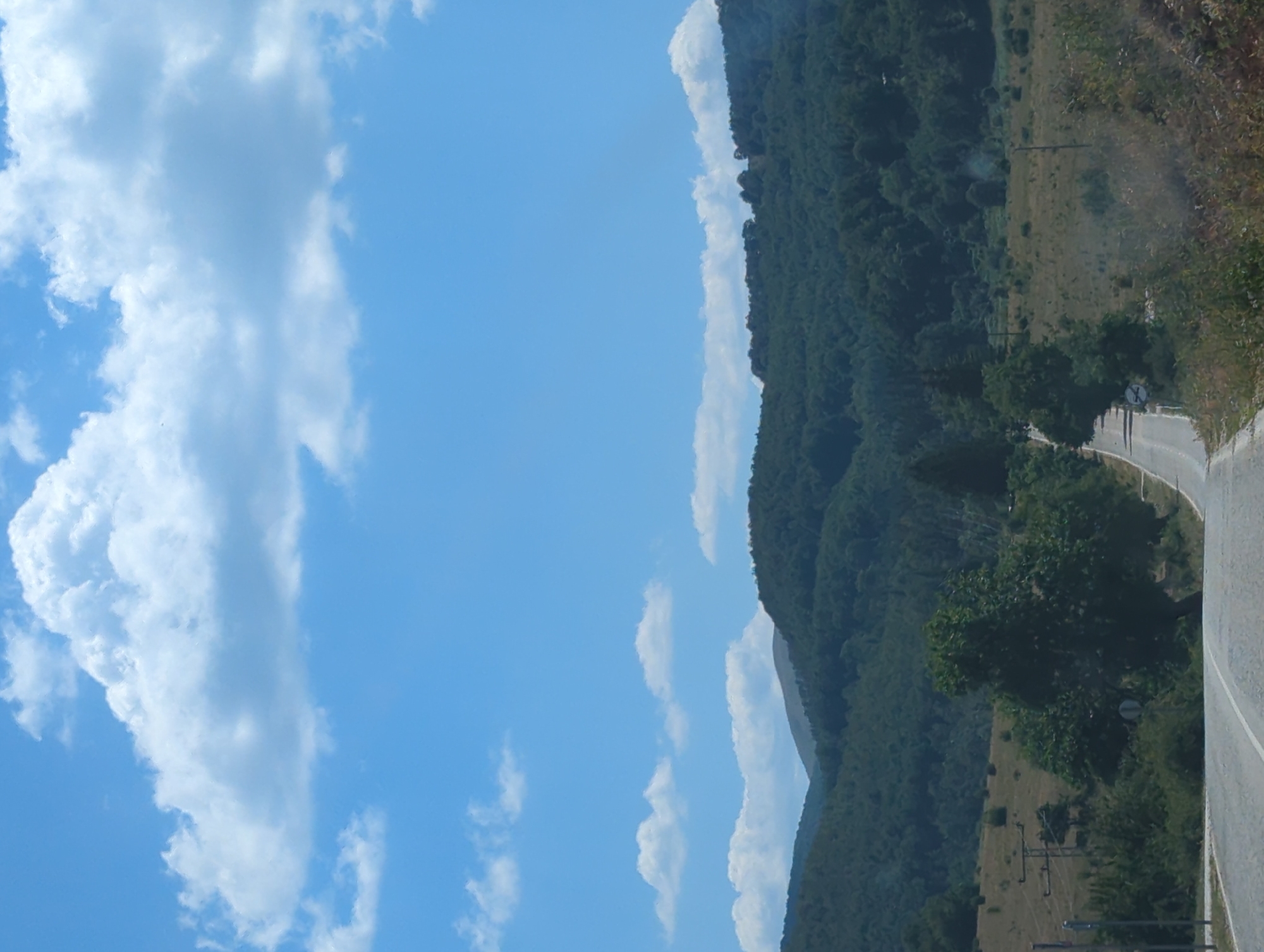 A paved road curves through a rural, hilly landscape under a bright blue sky dotted with fluffy white clouds. The road is asphalt with a white line marking the center. To the right of the road, the terrain is covered with dry grass and scattered bushes, with some trees. Further in the background, rolling hills are densely covered with dark green trees. The image appears to be taken from a moving vehicle, looking forward along the road. The location is identified as being in the city of Vratsa, Bulgaria.