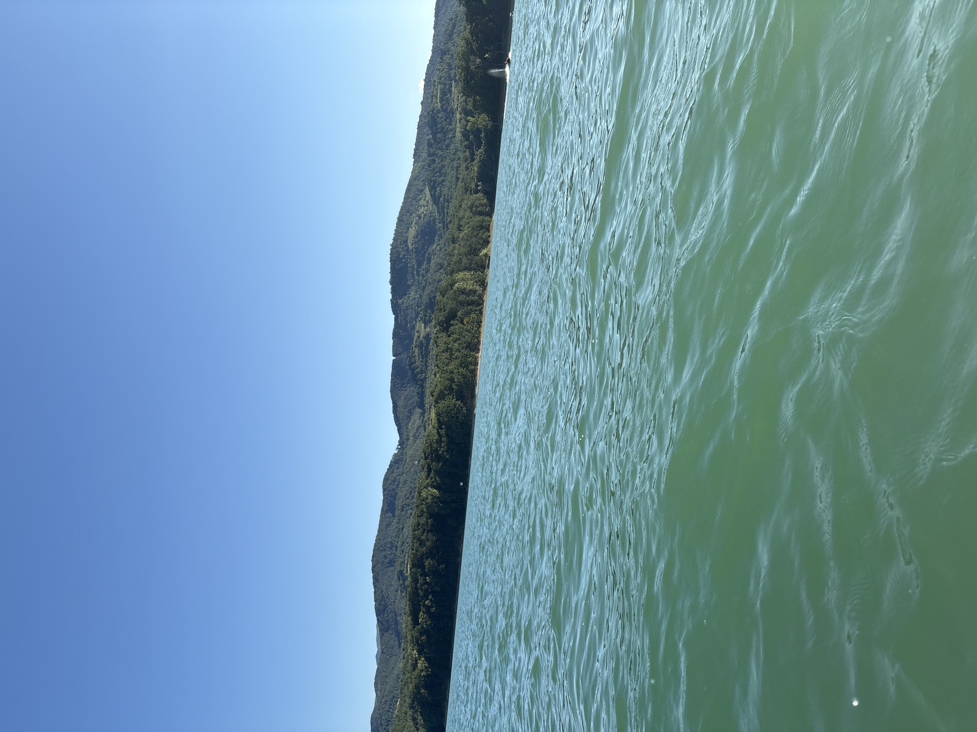 The image depicts a wide view of a lake with turquoise-green water, likely the Zhelyazna Reservoir in Golyama Zhelyazna, Bulgaria, under a clear, bright blue sky. The foreground is dominated by the rippling surface of the water. In the midground, a dense, dark green forest covers the undulating hills that form the far bank of the lake. The hills rise in the background, their slopes covered in trees. On the right side of the image, a white object, possibly a boat or sail, is visible in the distance on the water. Further to the right, a dark object, possibly a jet ski, is creating a spray of water. The overall scene is a natural landscape on a sunny day.