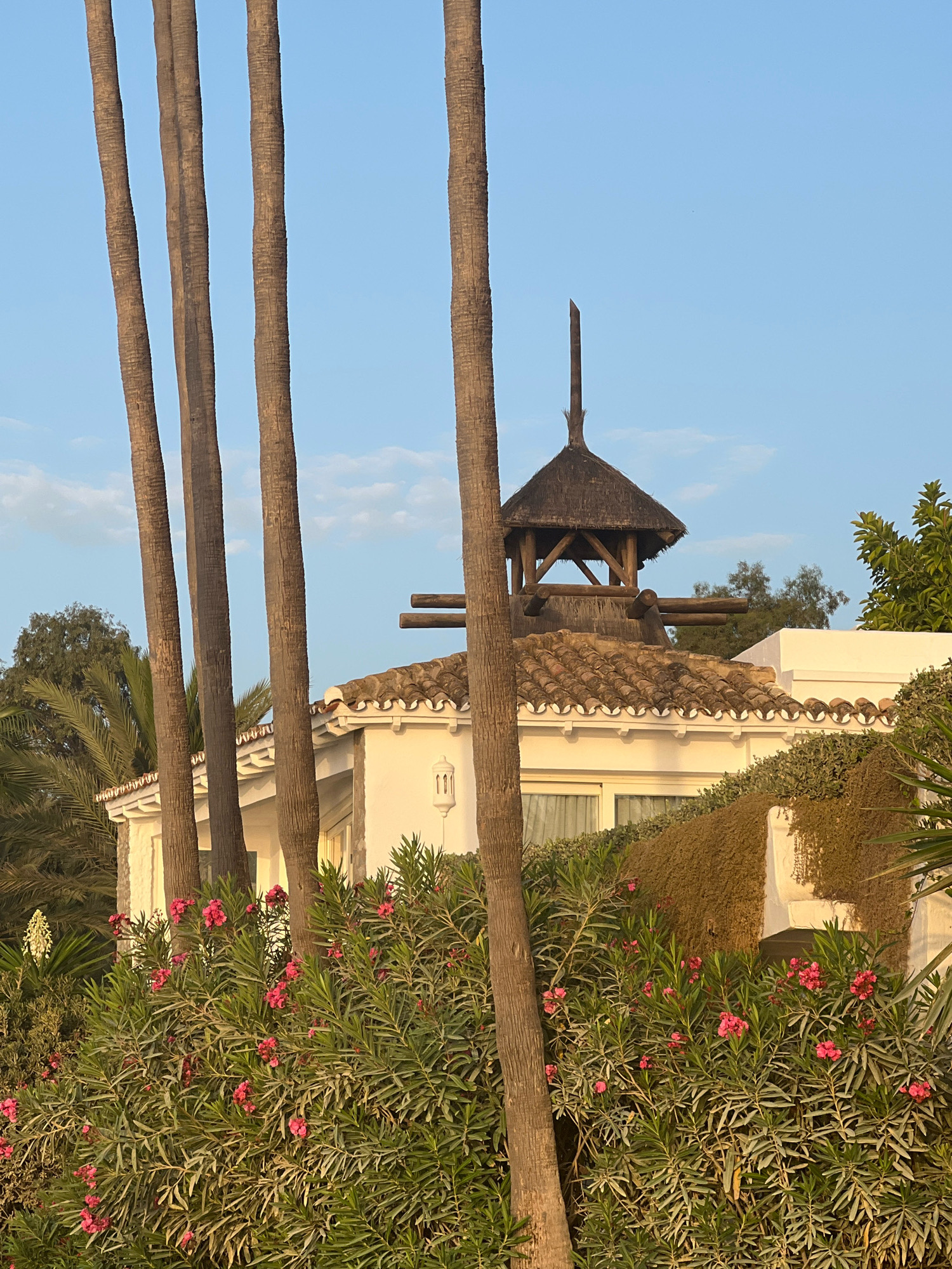 Four palm trees stand in the foreground, their rough, brown trunks dominating the left side of the image. Behind them, a white building with a terracotta-tiled roof is partially visible. The building features a small, thatched-roof turret with a wooden cross atop it. Lush green foliage and pink flowers surround the lower half of the building, creating a vibrant contrast. The sky above is a clear, pale blue with a few wispy clouds. The lighting suggests it is either early morning or late afternoon, casting a warm glow on the scene. This scene is consistent with the architecture and vegetation found in Marbella, Spain, a city known for its coastal resorts and Mediterranean climate.