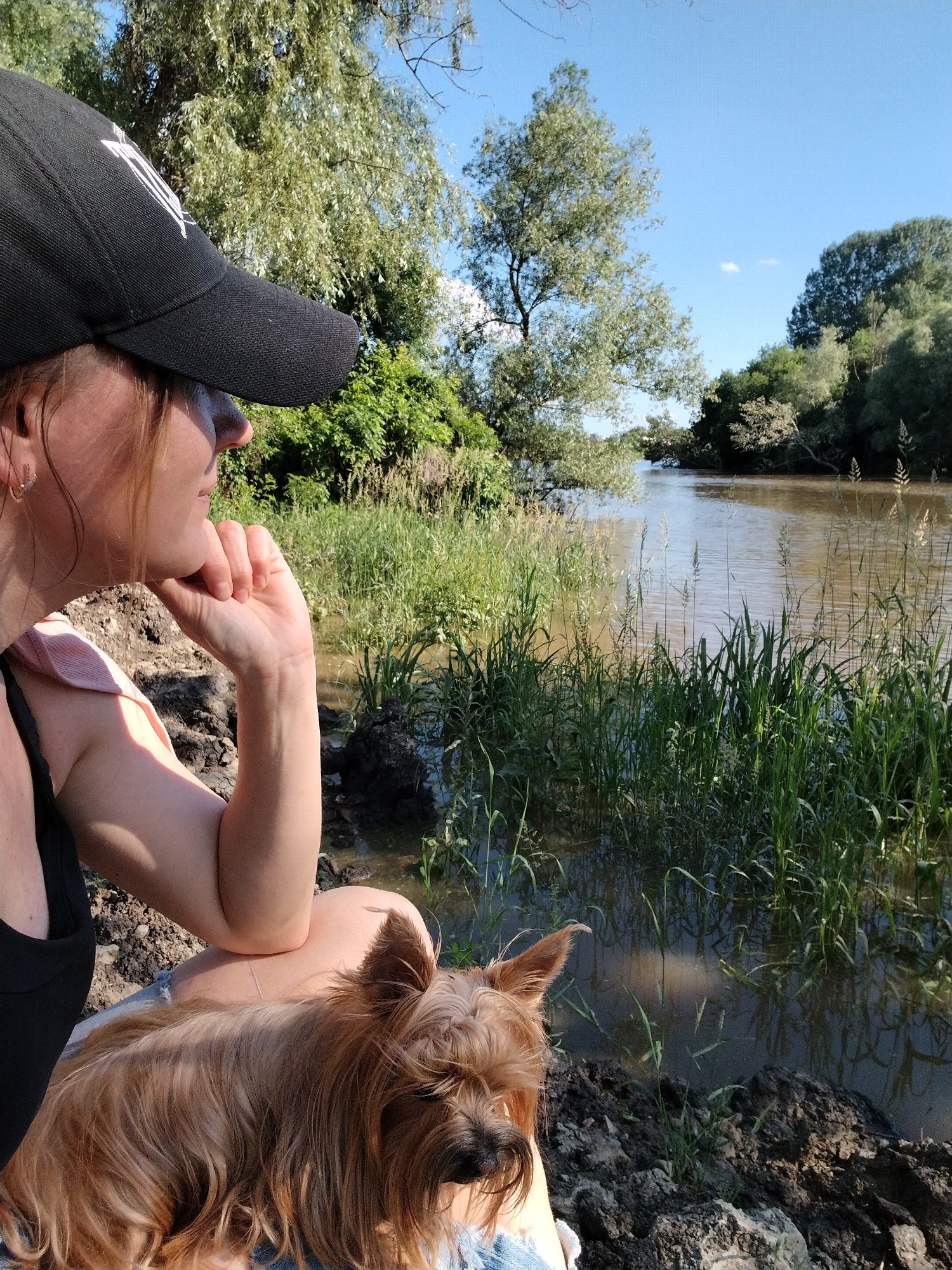 An outdoor, eye-level shot in Novobzhegokay, Russia, depicts a woman and a dog beside a river on a clear, sunny day. The woman is seated on a muddy bank in the lower left quadrant, facing left, with her gaze directed towards the brown water. She wears a black baseball cap with a white emblem on the front-left, a black tank top over a light pink garment visible on her left shoulder, and light-colored denim shorts. Her right hand rests under her chin, and a small hoop earring is visible in her left ear. A long-haired Yorkshire Terrier, with predominantly brown and tan fur, sits on her lap, also looking towards the water.
The foreground consists of dark, muddy earth and some small rocks at the water's edge. Green grass and tall reeds grow densely in and along the banks of the calm, brownish river, which extends into the background. The midground features the river, flanked by trees with varied green foliage on both sides. The background reveals a clear blue sky with a single small white cloud near the upper right, above a dense line of trees that form the far bank of the river. Sunlight illuminates the scene, casting soft shadows.