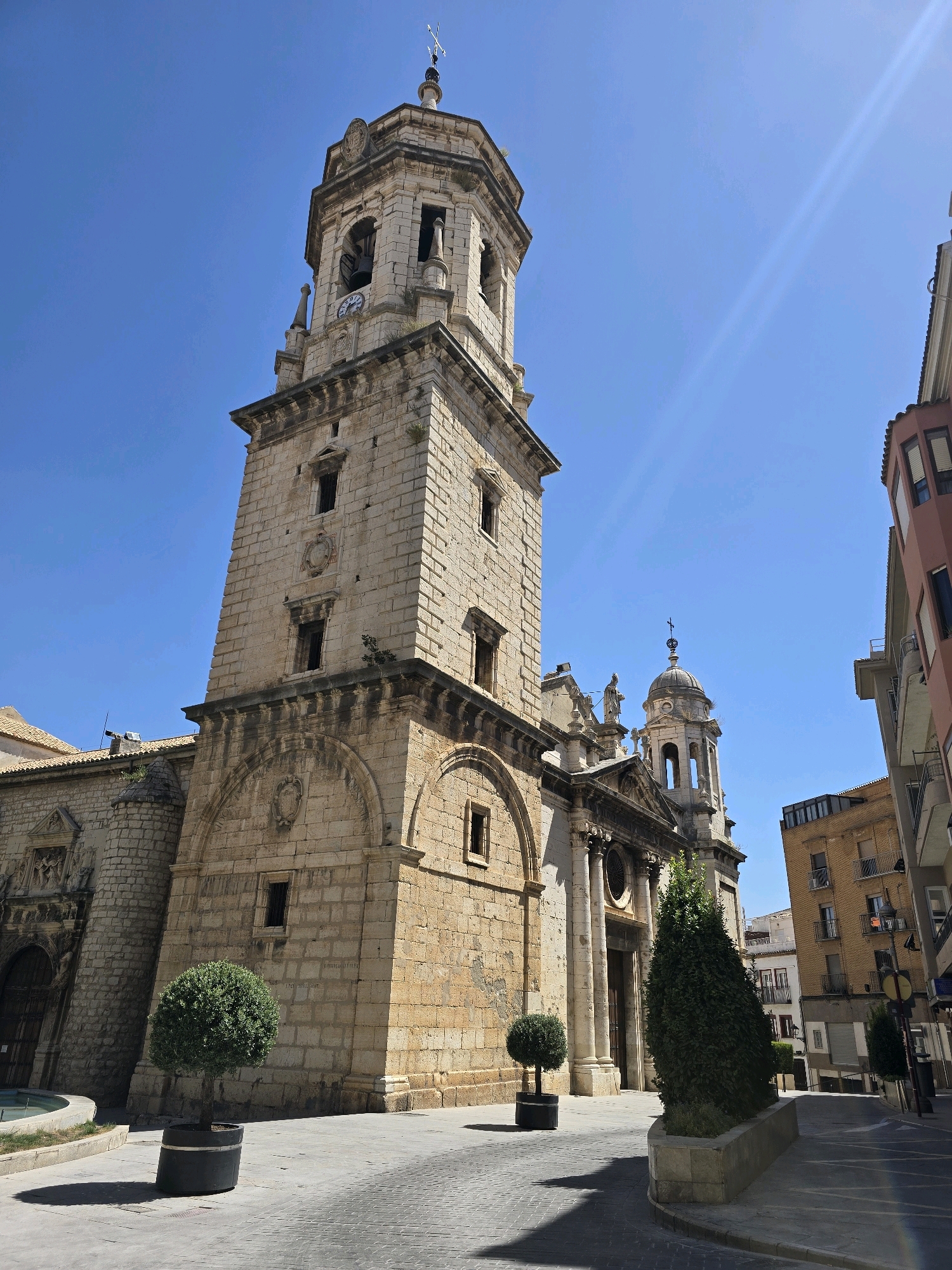 The image captures a low-angle view of the Church of Santa María Magdalena in Jaén, Spain, under a clear blue sky. The church's prominent stone bell tower, adorned with a clock face, dominates the left side of the frame. The tower features arched openings and classical architectural elements. To the right of the tower, a smaller dome structure with a cross is visible. In the foreground, the paved ground is bordered by a stone planter containing a tall, conical evergreen tree. To the left of the tower, a spherical tree in a dark pot casts a shadow. Adjacent buildings line the right side of the street, exhibiting a mix of architectural styles and colors, including a reddish-pink building with balconies. The scene appears to be a public square or street in a city, with no people or vehicles visible.