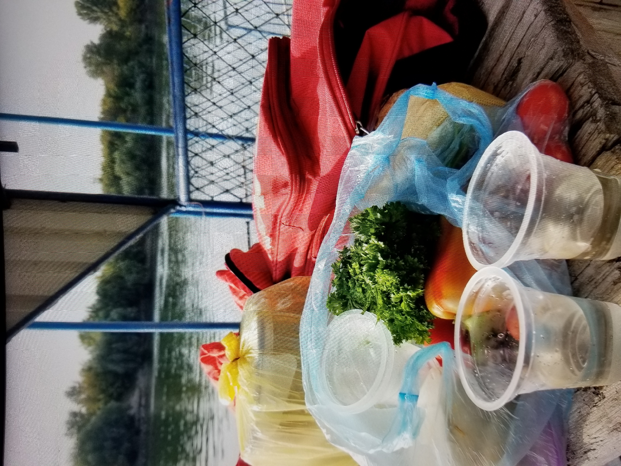 On a wooden surface, likely the deck of a boat, there are several items of food and drink. In the foreground, two clear plastic cups contain a pale liquid. Behind them, a blue plastic bag holds fresh produce, including a bunch of leafy green parsley and two red tomatoes. Another, larger yellow bag is partially visible, covered by a red item that appears to be a folded jacket or bag. In the background, a body of water, likely the Dniester River, is visible, bordered by a line of trees on the far bank. The sky is overcast. The scene suggests a picnic or outing on the water.