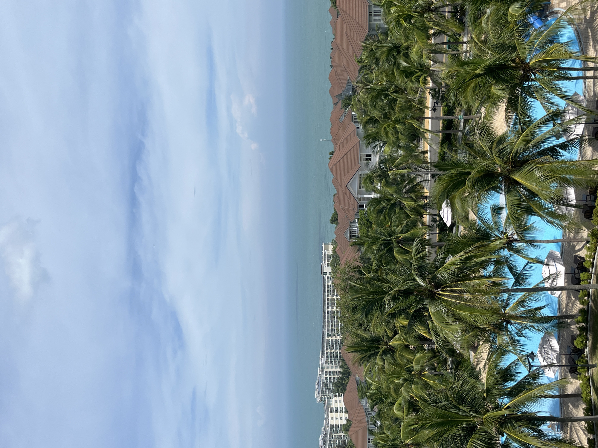 This image captures a resort scene in Phu Thuy Ward, Vietnam. The foreground is dominated by lush green palm trees, their fronds creating a natural canopy. Below the palms, a bright blue swimming pool is visible, with several white umbrellas providing shade and lounge chairs arranged nearby. Beyond the pool and palm trees, a cluster of modern residential buildings with brown tiled roofs and white walls is situated. Further in the background, larger, multi-story resort buildings with white facades and numerous balconies face the vast, calm blue ocean. The sky above is a pale blue with scattered white clouds. The overall impression is a tranquil tropical resort environment.
