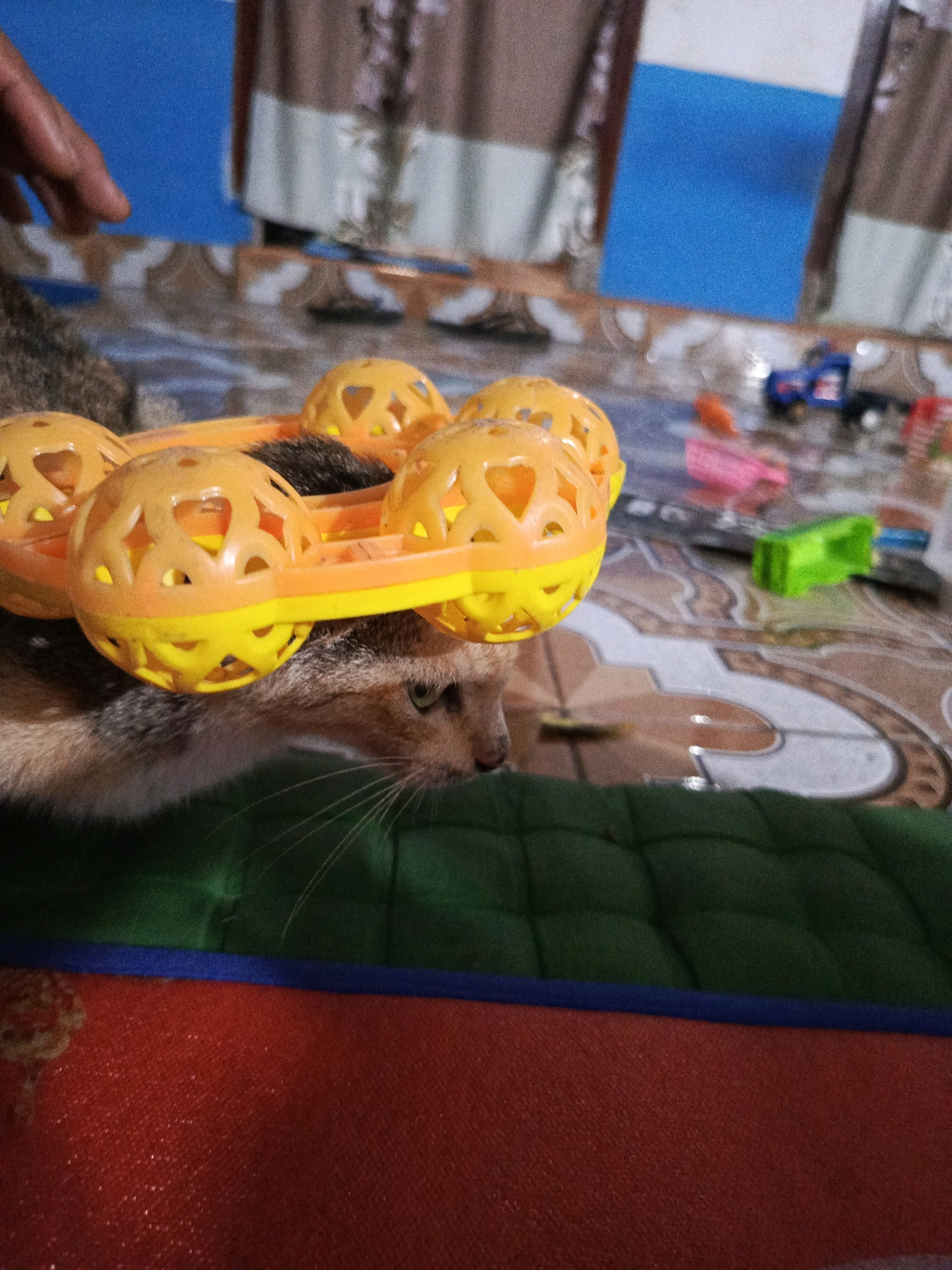 In a domestic indoor setting, likely a home in Pagar Ayu, Indonesia, a feline subject, specifically a cat with tabby markings, is the central focus. The cat is wearing an orange and yellow circular toy around its neck. The toy appears to be a set of connected spherical objects with cut-out patterns. The cat's head is visible, with its green eyes looking towards the right of the frame. A human hand, presumably that of the owner, is reaching into the upper left corner of the image, possibly interacting with the cat or the toy. The background suggests a tiled surface with decorative patterns, and various small objects, including toy vehicles and colorful plastic items, are scattered on it. Part of a green, tufted cushion and a red mat are also visible in the foreground. The lighting appears to be ambient indoor lighting.