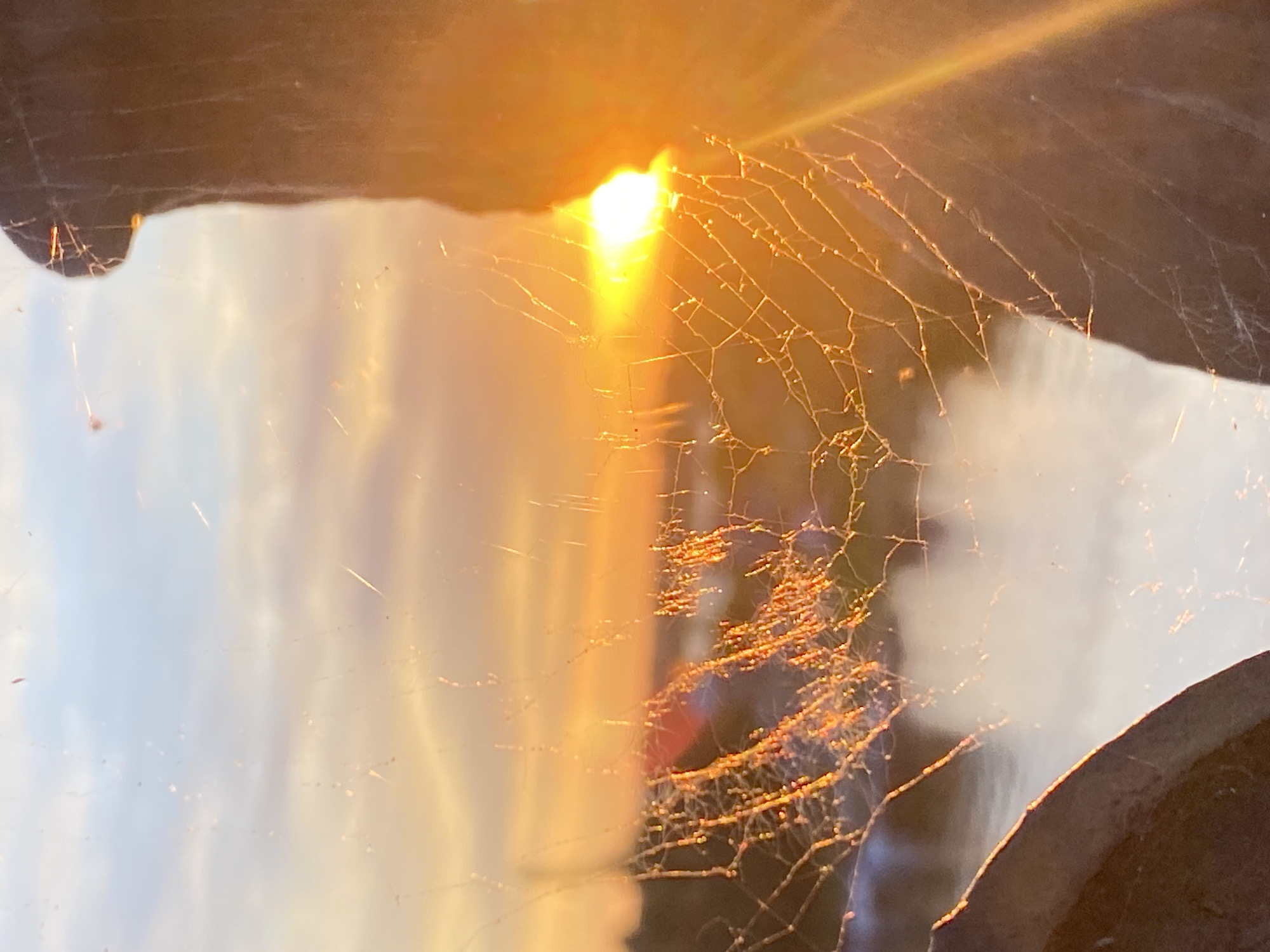 A close-up, low-angle shot captures a spiderweb illuminated by the setting sun. The sun, a bright, hazy orb, shines through the web, creating a warm, golden glow that highlights the intricate threads. The web itself appears delicate and fragile, with small droplets or debris clinging to its strands, catching the light. The background is a soft blur of light and shadow, suggesting an outdoor setting. The upper portion of the image features a dark, curved edge, possibly a frame or an object casting a shadow. The overall mood is serene and beautiful, emphasizing the natural artistry of the spiderweb and the beauty of the natural light. The time of day is clearly sunset, as indicated by the low angle and warm color of the sun. No text is visible in the image.