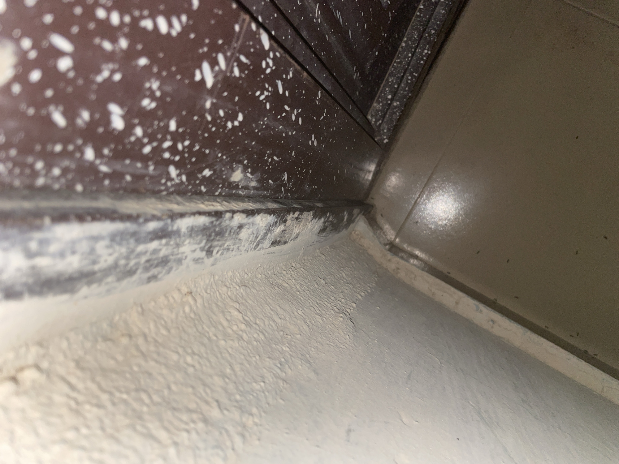 The image shows a close-up view of a corner where a painted wall meets a dark-colored door frame and a light-colored floor. The wall on the left has a textured, peeling paint finish, primarily in a light, off-white color. The door frame on the right is a dark brown or maroon color with numerous small white splatters, possibly paint or dust. A strip of what appears to be trim or a threshold runs along the base of the wall and door frame, also showing signs of wear and paint residue. The floor is a smooth, matte surface, light brown or tan in color, with reflections indicating it is likely tiled or linoleum. Several small, dark dots, possibly ants, are visible on the floor near the trim. The scene appears to be an interior corner of a building, possibly a doorway or alcove. The location in Jalingo, Nigeria, is not directly evident from the visual details of the image itself.