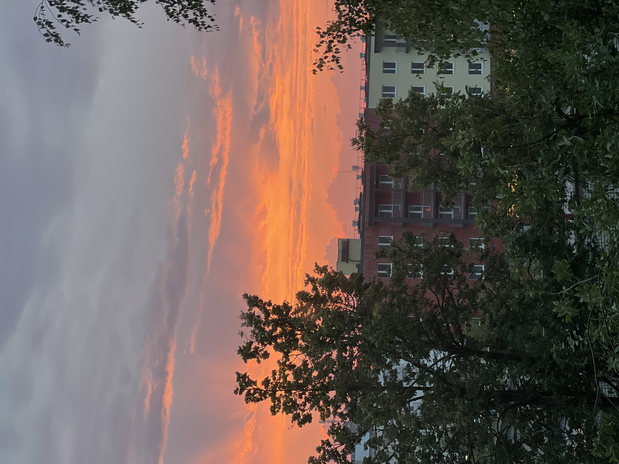 A photograph captures a vibrant sunset over an urban landscape. The sky is dominated by brilliant shades of orange and pink, with streaks of light piercing through the clouds. In the foreground, the dark silhouettes of trees partially obscure a row of apartment buildings. The buildings appear to be multi-story structures with visible windows and balconies. The overall scene depicts a typical evening view in a city, characterized by the contrast between the natural beauty of the sunset and the man-made environment.