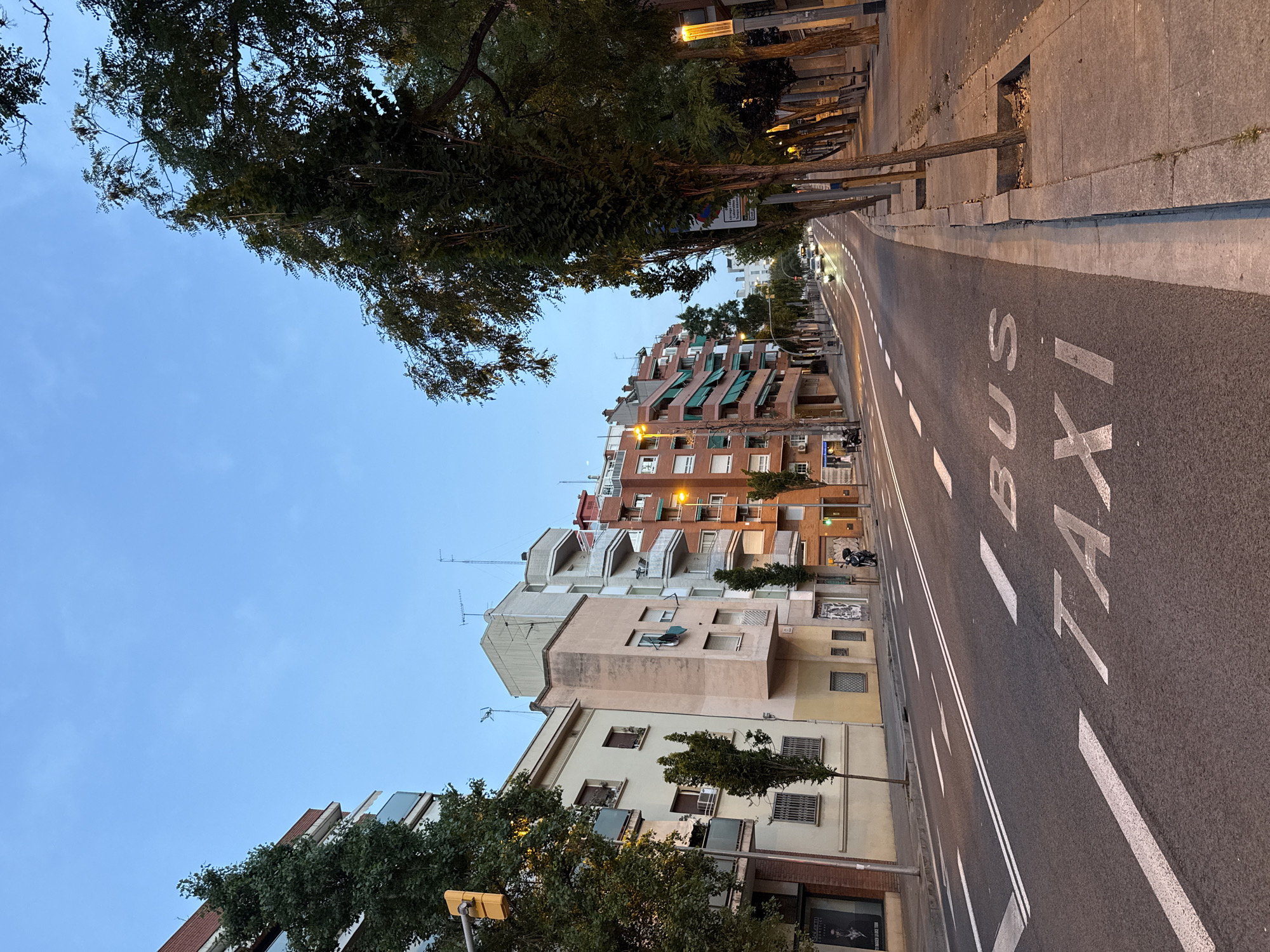 The image shows a street scene in Barcelona, Spain, captured at dusk. The street is asphalt with white lane markings and designated areas for buses and taxis painted on the road surface. Buildings line the left side of the street, exhibiting varying architectural styles and colors. Some buildings have balconies and awnings. Trees with lush green foliage are planted along the sidewalk on the right side of the street. Streetlights are visible, and some are illuminated. There are a few vehicles on the road, including cars and motorcycles. The sky is a clear blue, indicating the transition from day to night. The overall impression is a quiet urban street bathed in the soft light of dusk.