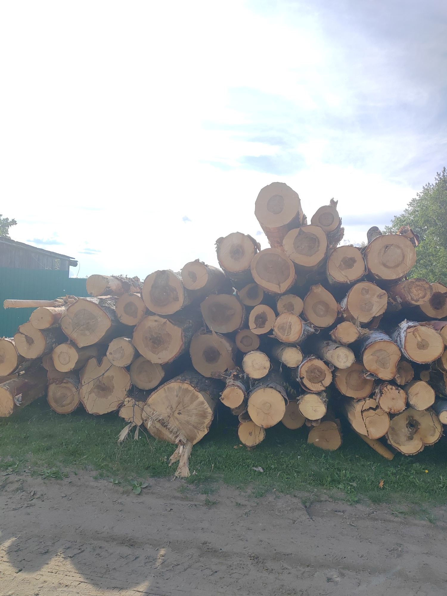 The image captures a large, tightly stacked pile of cut logs, likely for firewood or timber, dominating the lower and central parts of the frame. The logs vary in size and length, with many showcasing their freshly cut ends revealing distinct tree rings and natural wood grain patterns. Some logs still have their bark, while others are partially or fully debarked. Several logs show signs of splitting or cracking.
In the background to the left, a small part of a building with a dark roof and a tall, dark green corrugated metal fence is visible, suggesting a residential or storage area. Further back and to the right, green foliage from trees can be seen, indicating an outdoor, possibly rural or semi-rural setting.
The foreground consists of a dirt or gravel path on the left and a strip of green grass bordering the bottom of the log pile.
The lighting suggests it is daytime, with bright, possibly overcast, conditions. The sky, especially in the upper left, is very bright and appears slightly overexposed, with some visible clouds. Light seems to be coming from the upper left, casting subtle shadows. There is no visible text in the image. The overall scene conveys a sense of recent forestry work or preparation for winter heating.