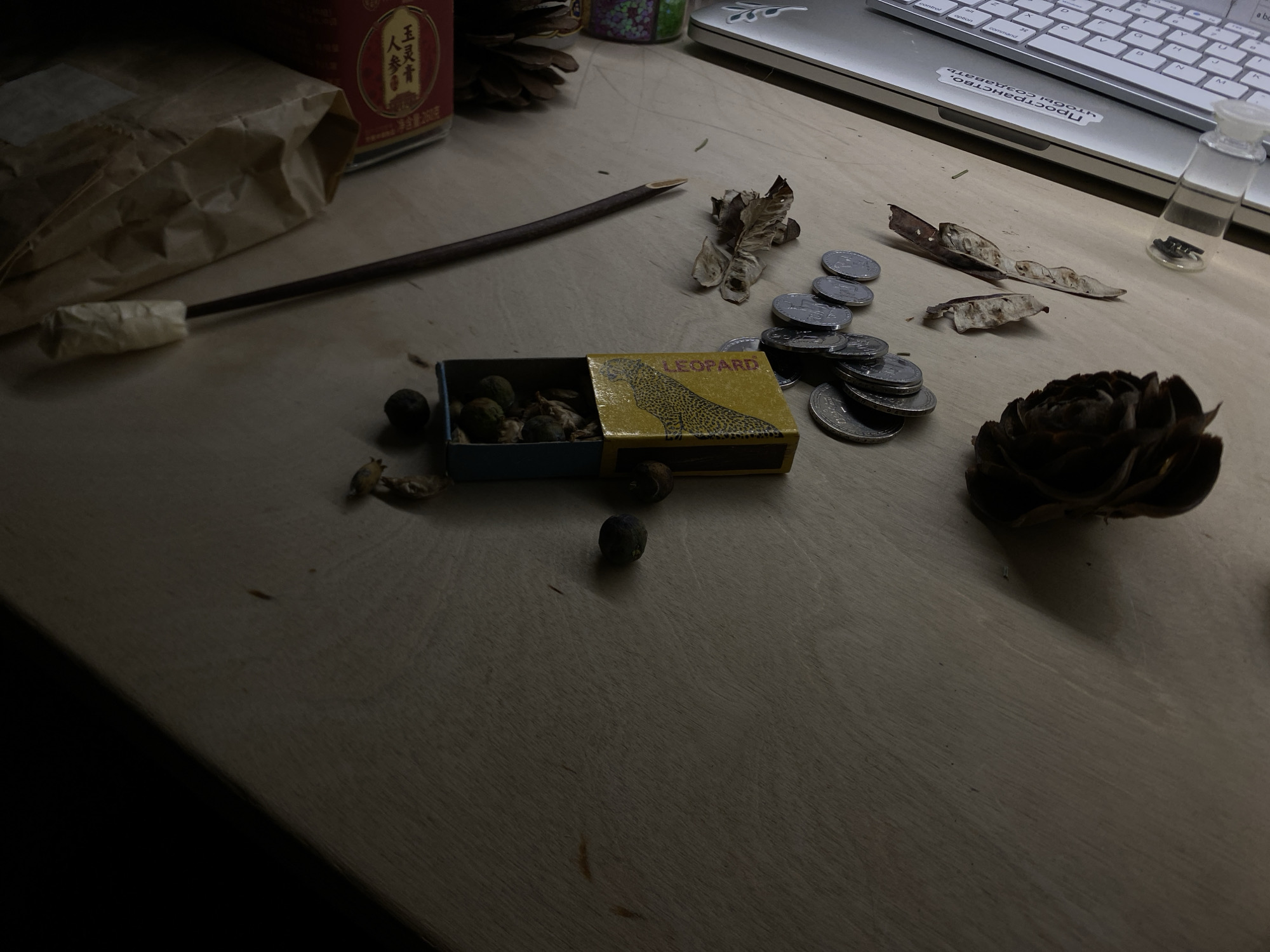 The media file presents a still-life composition on a light-colored wooden desk, likely indoors, under dim lighting conditions suggesting evening or nighttime. The scene, set in Tbilisi, Georgia, features an assortment of natural objects and everyday items.
In the center of the image is an open yellow matchbox, labeled "LEOPARD" and featuring an illustration of a leopard. The matchbox contains several small, dark, roundish objects, possibly seeds or dried berries, with a few more scattered on the desk around it.
To the right of the matchbox, a cluster of silver-colored coins is piled, with more coins spread out individually on the surface. Further to the right and slightly below, a dark, prominent pinecone or similar conifer cone is visible. Above the coins, several dried, thin, papery seed pods or leaves are scattered.
In the upper right corner, part of a silver laptop keyboard is visible. A white sticker adhered to the laptop bears Cyrillic text: "ПРОСТРАНСТВО, чтобы создавать" (meaning "SPACE to create"). Next to the laptop is a small, clear glass bottle with a stopper, containing tiny dark, metallic components, possibly screws or electronic parts.
The upper left quadrant features a brown crumpled paper bag and a red, rectangular box with visible Chinese characters: "人参" (ginseng) and "玉灵青" (likely a brand or product name). Extending from beneath the paper bag towards the center is a long, thin, dark stick-like object, possibly a pipe or a natural twig, with a lighter-colored, wrapped section near its left end.
No human subjects are present, and no specific activity is actively occurring. The arrangement suggests a personal collection or workspace, with a blend of natural elements and functional items. The overall mood is quiet and contemplative, emphasized by the low light.