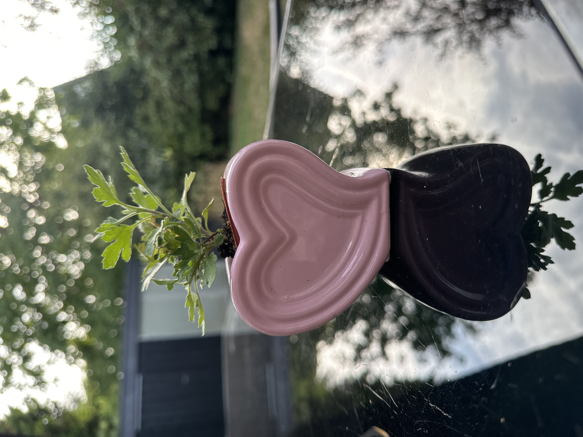A small green plant with multiple leaves is potted in a pink heart-shaped ceramic planter. The planter is placed on a dark, reflective surface, likely a table, outdoors. In the background, blurred green foliage and trees are visible, with a bright sky creating bokeh effects. A dark, shed-like structure is partially visible on the left side of the background. The image appears to have been taken in Krefeld, Germany, in a garden or patio setting.