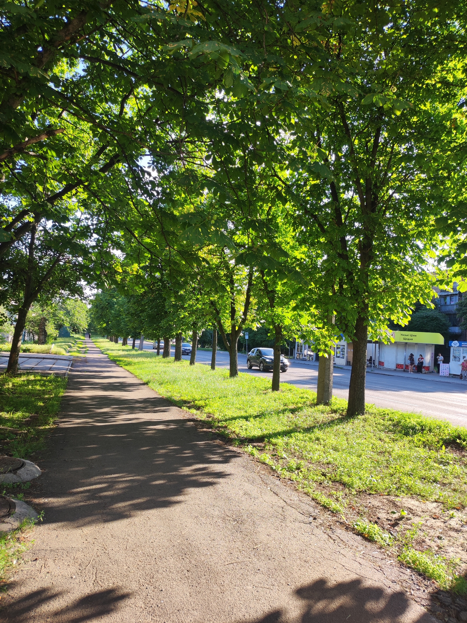 The image depicts a tree-lined sidewalk in the city of Cherkasy, Ukraine, likely on a sunny day. The sidewalk is paved with asphalt and bordered by lush green grass on one side and a road on the other. A row of mature trees with dense green foliage casts dappled shadows across the path.
On the road, a dark-colored car is visible, driving away from the viewer. Across the road, there are small commercial kiosks or stalls with yellow awnings. Several people are seen near these kiosks, some standing and others possibly interacting. Buildings can be seen in the background, suggesting an urban or suburban setting. The overall impression is one of a pleasant, everyday scene in a city park or along a residential street.