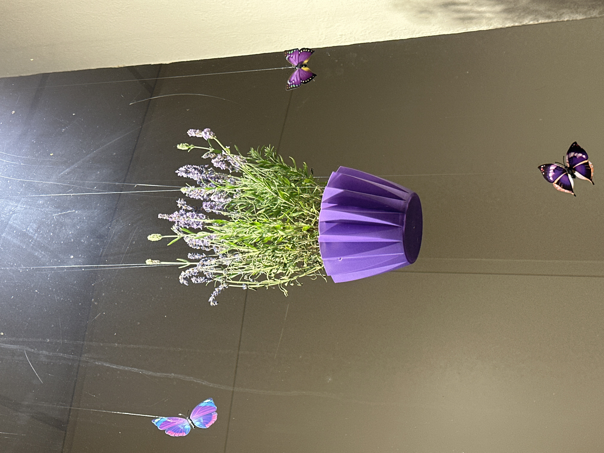 An overhead view of a purple planter filled with lavender, suspended by thin wires against a dark, reflective background. Four decorative butterflies, with iridescent purple and pink wings, are also suspended by wires, positioned at different distances from the planter. The overall scene is dimly lit, with the lavender plant and planter appearing as the primary subjects. The location is not specified.