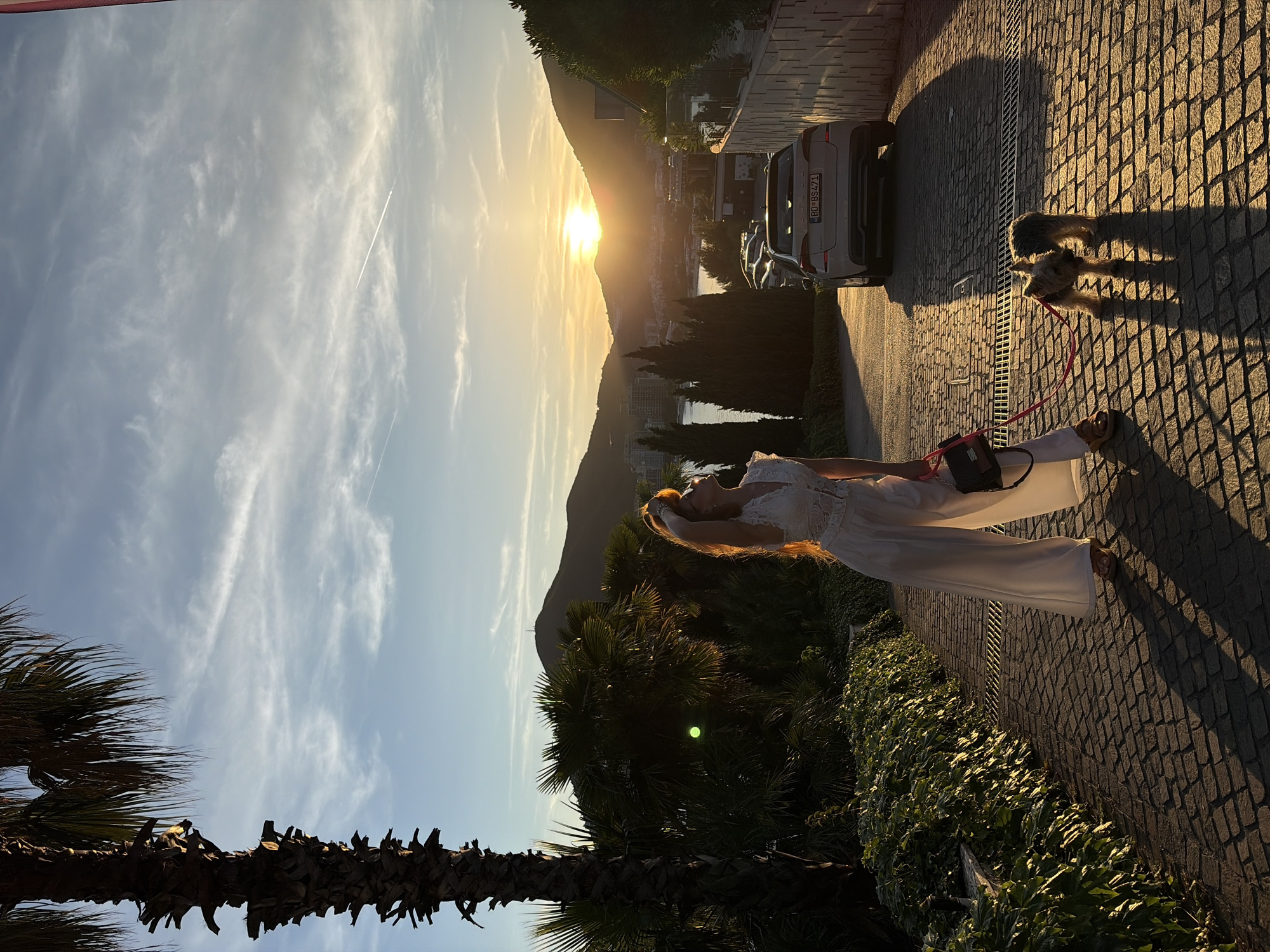 The image captures a serene sunset scene in Budva, Montenegro, depicting a woman and her dog on a cobblestone path. The sun, low on the horizon, casts a golden glow across the landscape and long shadows.
In the foreground, a woman stands on the right side of the path, her back partially to the camera, looking upwards towards the sun. She has long, light-colored hair, illuminated by the warm sunlight, and is dressed in a white, possibly lace, top and wide-leg white pants, accessorized with sandals and a dark shoulder bag with a pink strap. Beside her, a small, shaggy dog on a red leash faces away from the camera, also casting a long shadow.
The path is made of irregular cobblestones, showing intricate textures under the golden light. Lush green vegetation, including palm trees with textured trunks and fronds, lines the side of the path and grows in the mid-ground.
In the background, majestic mountains frame the sunset, with a body of water visible between them and the immediate foreground. Several cars are parked along the path, one white SUV clearly visible with the Montenegrin license plate "BD-BS471," confirming the Budva location. The sky is a gradient of blue and orange hues, with wispy white cirrus clouds and a prominent airplane contrail stretching across. The overall atmosphere is peaceful and warm, characteristic of an evening stroll.