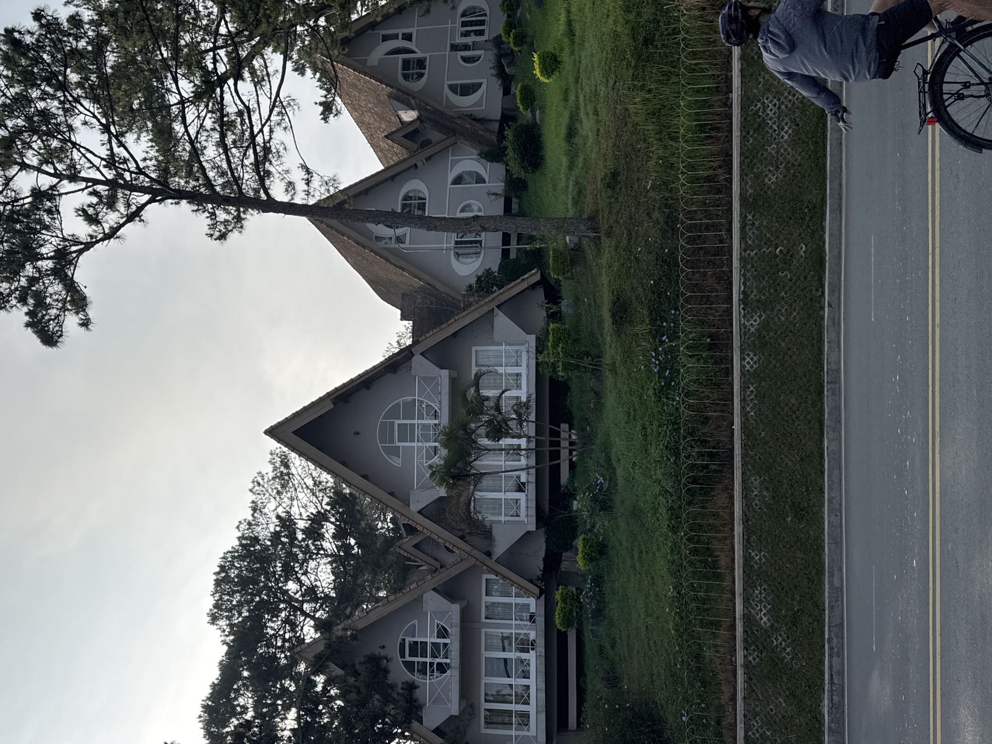 The photograph shows a row of unique, gray, gabled houses in Da Lat, Vietnam. Each house has large, circular windows. A tall, coniferous tree stands in front of the houses, partially obscuring them. To the right of the frame, a person wearing a helmet and gray clothing is riding a bicycle on a gray asphalt road with yellow dividing lines. A grassy area with a fence separates the houses from the road. The sky is overcast.