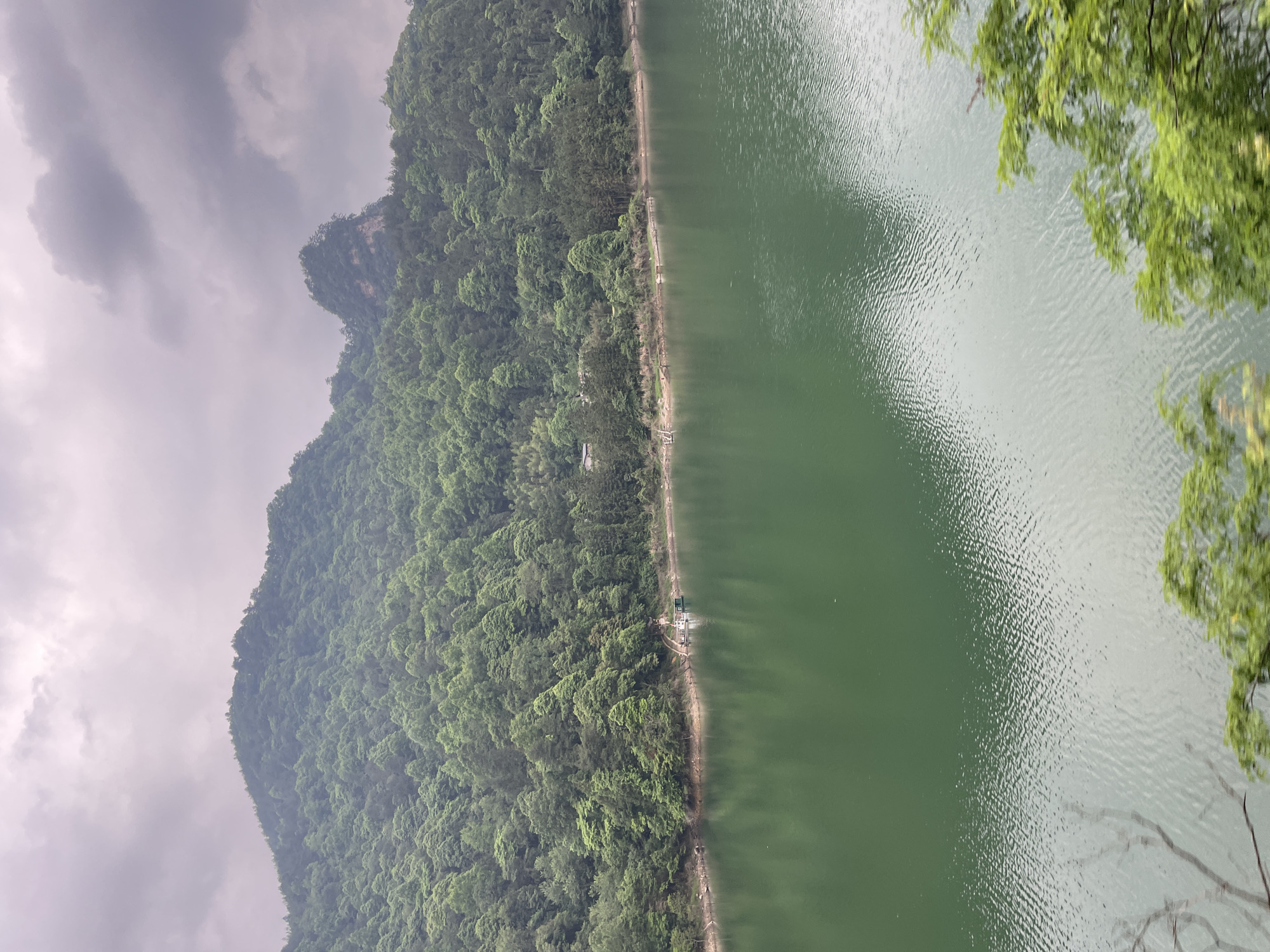 The image shows a view of Baofeng Lake in Wulingyuan, China. A lush, densely forested mountain rises on the left side of the frame, its peak partially obscured by an overcast, grey sky. The right side of the image is dominated by the calm, green waters of Baofeng Lake, with trees framing the edge of the shot. A narrow strip of land, seemingly a path, separates the lake from the forest. A structure, potentially a pier or dock, is visible along the path.