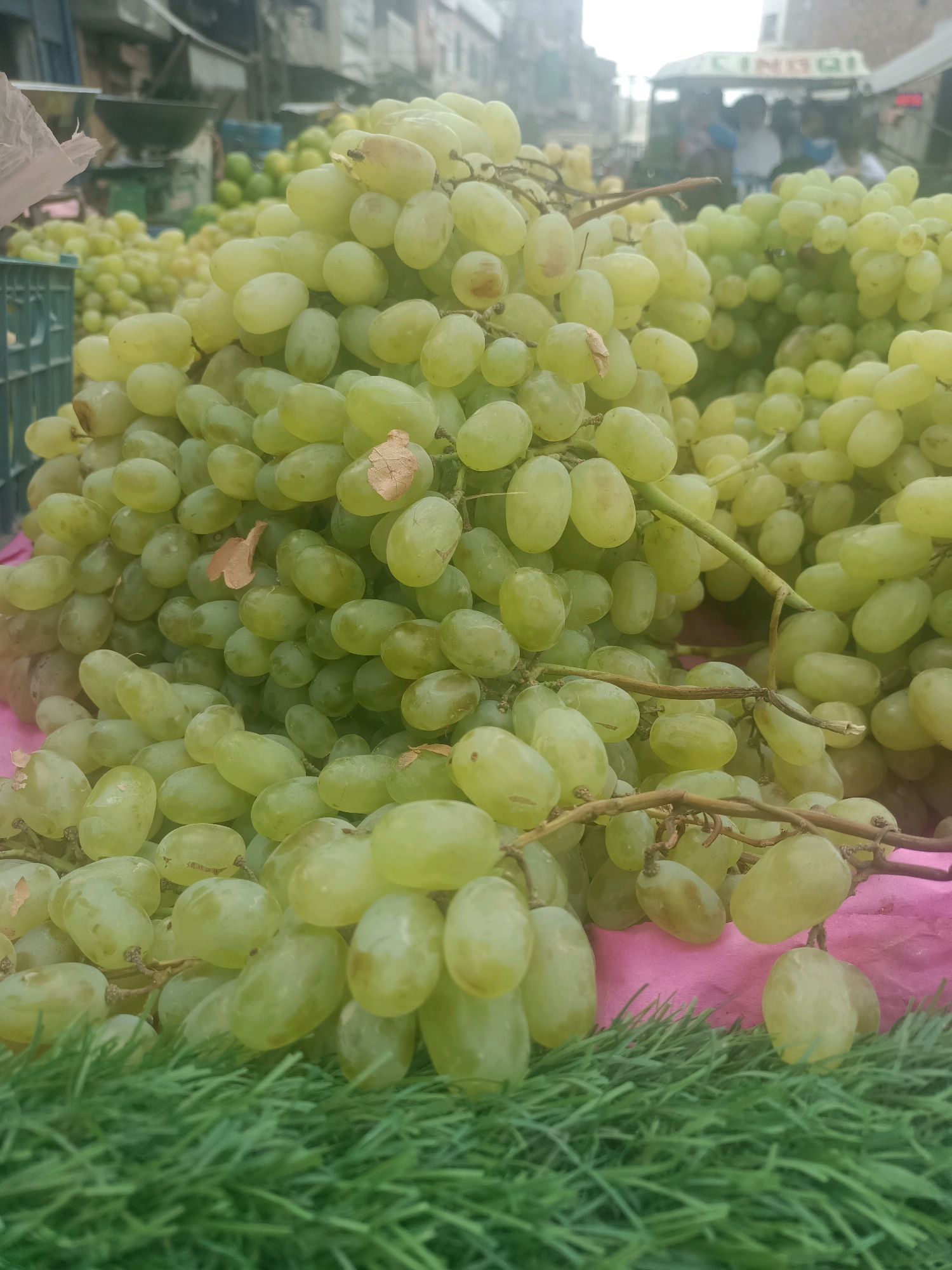 The image depicts a vibrant fruit stall in Begampura, Pakistan, showcasing a generous abundance of fresh green grapes. The grapes are displayed in large bunches, their translucent skins gleaming under the ambient light, suggesting a market setting. The foreground is dominated by a bed of lush green grass, possibly artificial turf used as a decorative base for the produce. Behind the grapes, a pink cloth is visible, providing a contrasting backdrop. In the blurred background, a street scene unfolds with hints of buildings and a trolley or cart, indicating a bustling urban environment typical of a Pakistani market. The overall impression is one of a lively marketplace, with the focus sharply on the appetizing display of grapes.