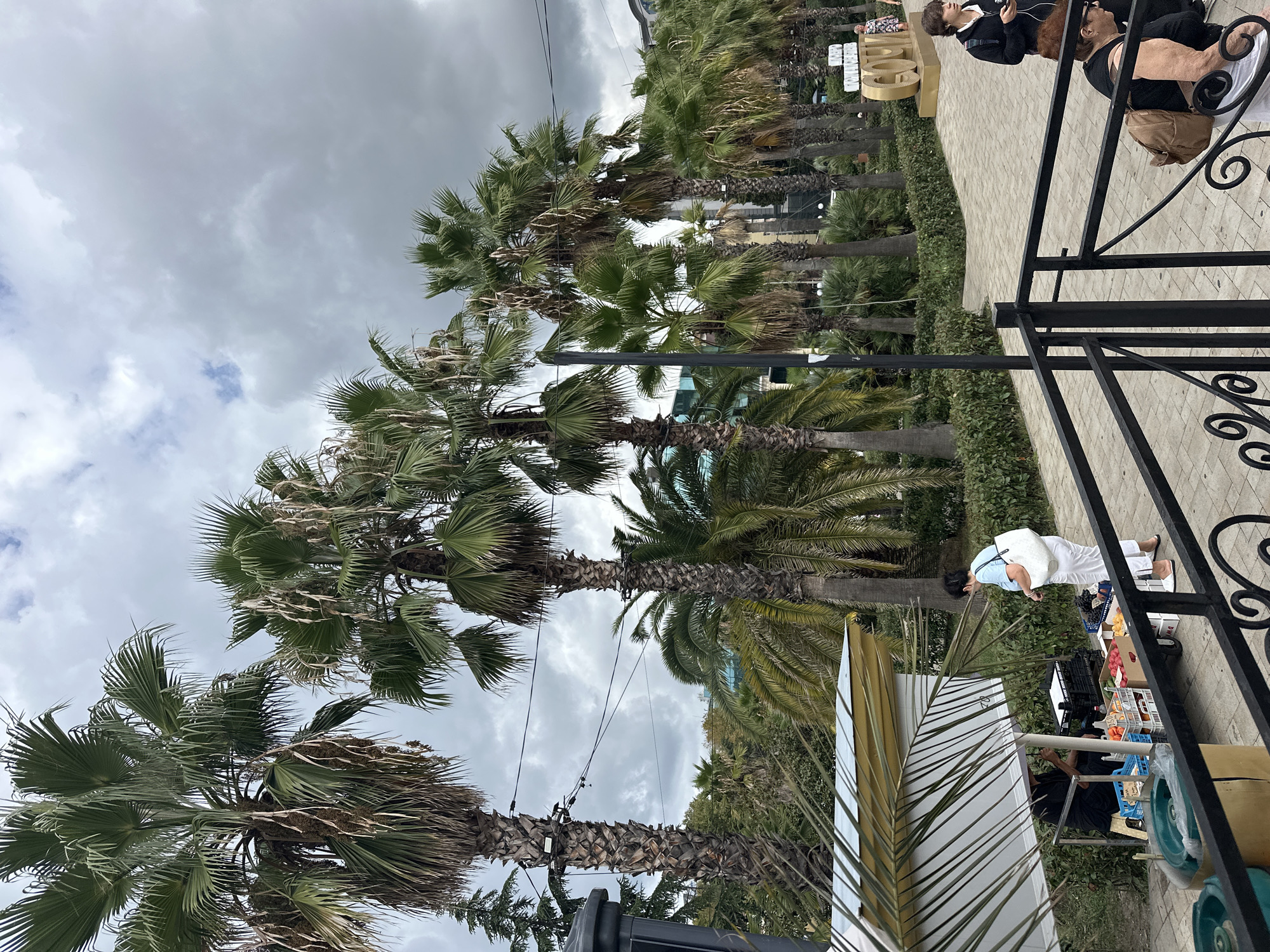 This is a medium-shot, eye-level outdoor photograph taken in Sochi, Russia. The scene depicts a street lined with palm trees under a cloudy sky. In the foreground, there is a black metal railing bordering a paved walkway. To the left, a small vendor stall displays fruits and vegetables. A woman in a light blue top and white pants stands at the stall, interacting with a vendor in a black robe. Further down the walkway, there are more people and a large golden sculpture with text, likely representing a place or event in Sochi. The overall atmosphere suggests a public area, possibly a promenade or park, with commercial activity and pedestrian traffic.
