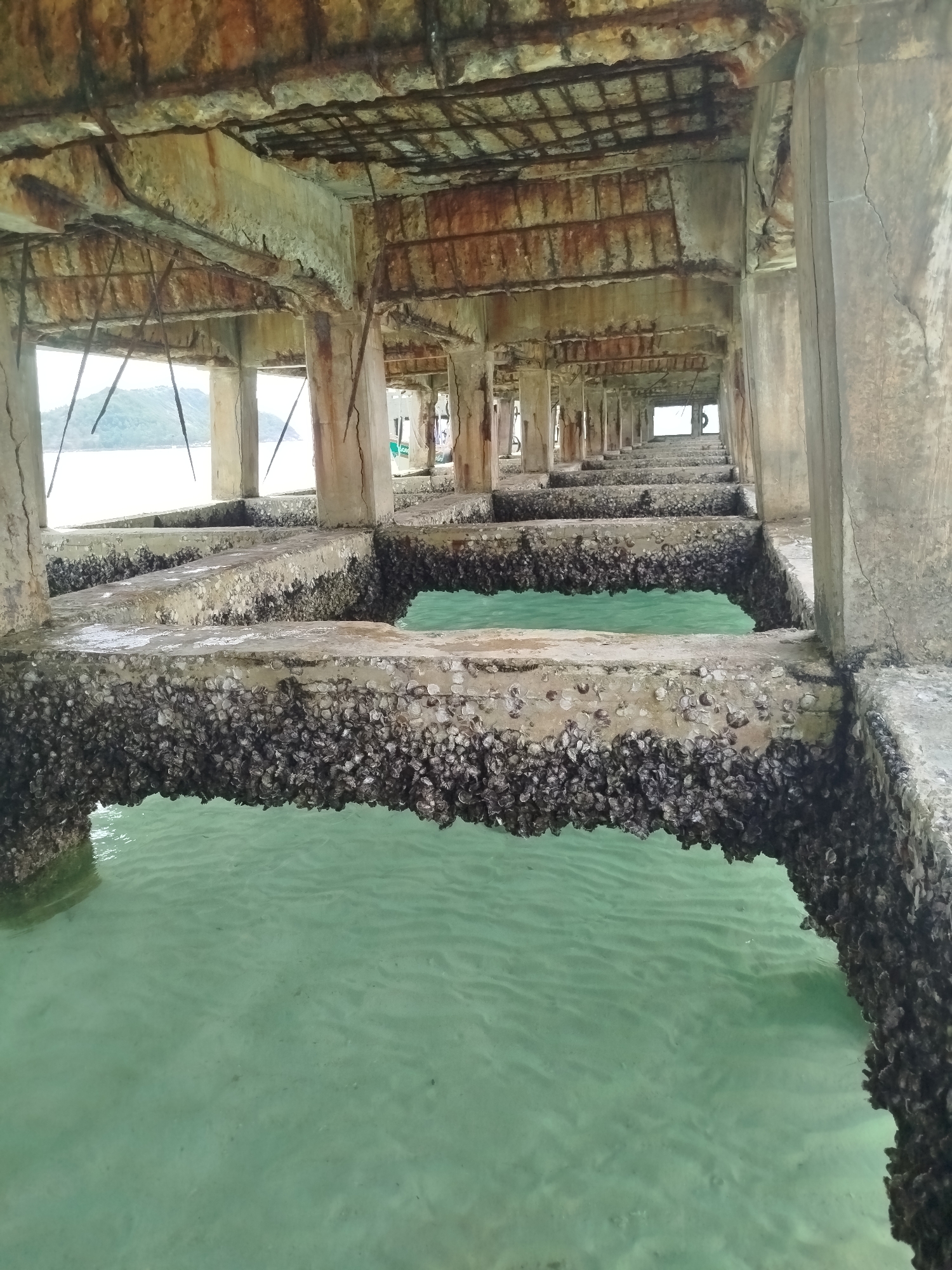 The image shows the underside of a dilapidated concrete pier in the Ko Pha-ngan District of Thailand. The concrete structures are heavily weathered, with exposed rebar and significant cracking. Barnacles and other marine growth heavily encrust the submerged portions of the pier's pillars and horizontal supports. The water beneath the pier is clear and turquoise, revealing a sandy bottom with rippling sand patterns. In the distance, a hazy outline of a lush green island or coastline is visible under an overcast sky. The scene depicts a decaying man-made structure integrated with the natural marine environment.