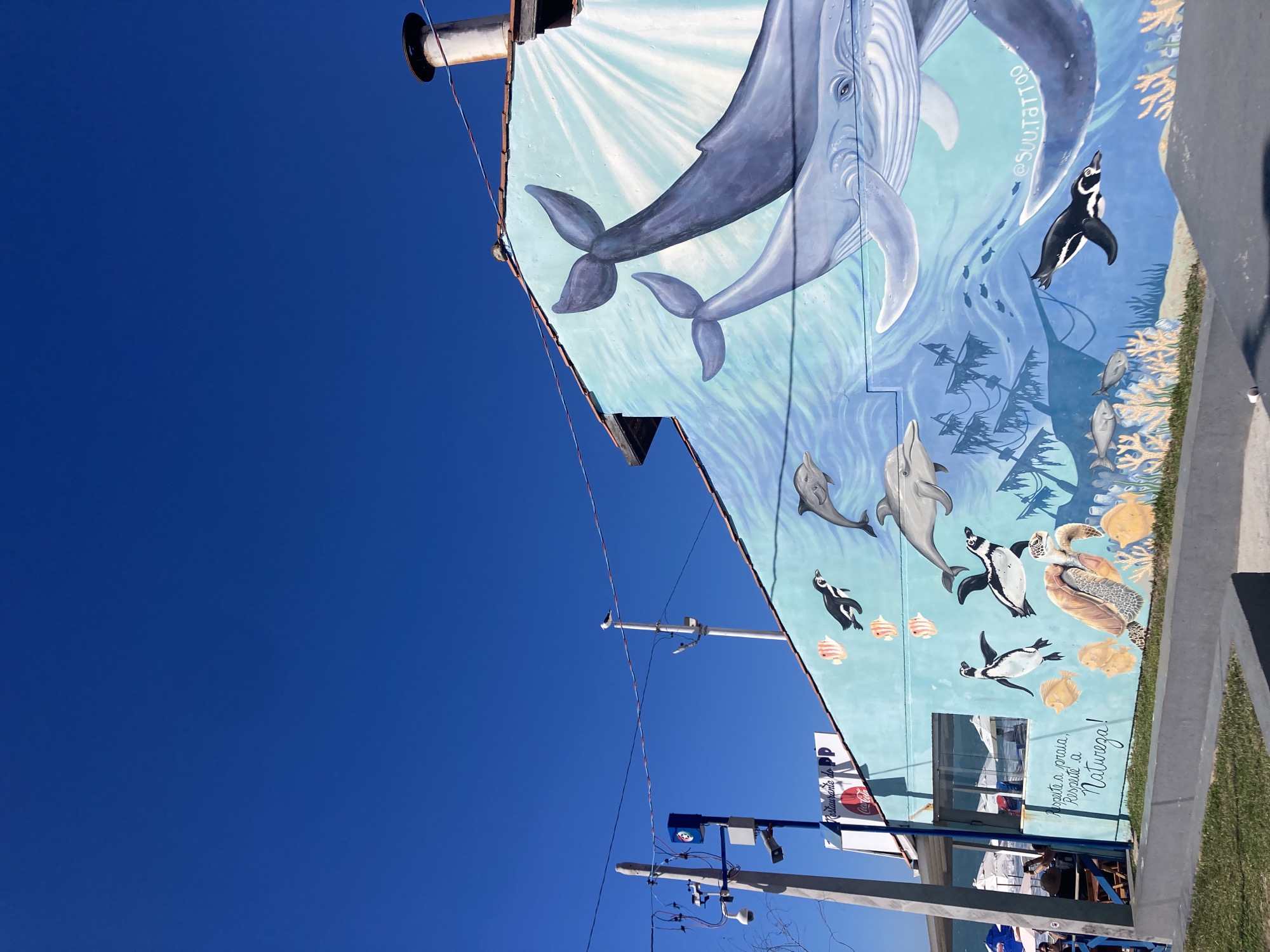 The image depicts a mural on the side of a building in Florianópolis, Brazil. The mural is a sea-life scene with whales, dolphins, penguins, a sea turtle, and various fish. There is a utility pole in the foreground. The sky is a deep blue. A restaurant named "Restaurante do P" with a Coca-Cola sign is below the mural. The text "Respeite a praia, Respeite a Natureza!" is included on the mural. The mural also features the artist's Instagram handle, "@SUU.TATTOO". There is a patch of grass along the lower right edge of the frame. People are seated at tables below the mural.