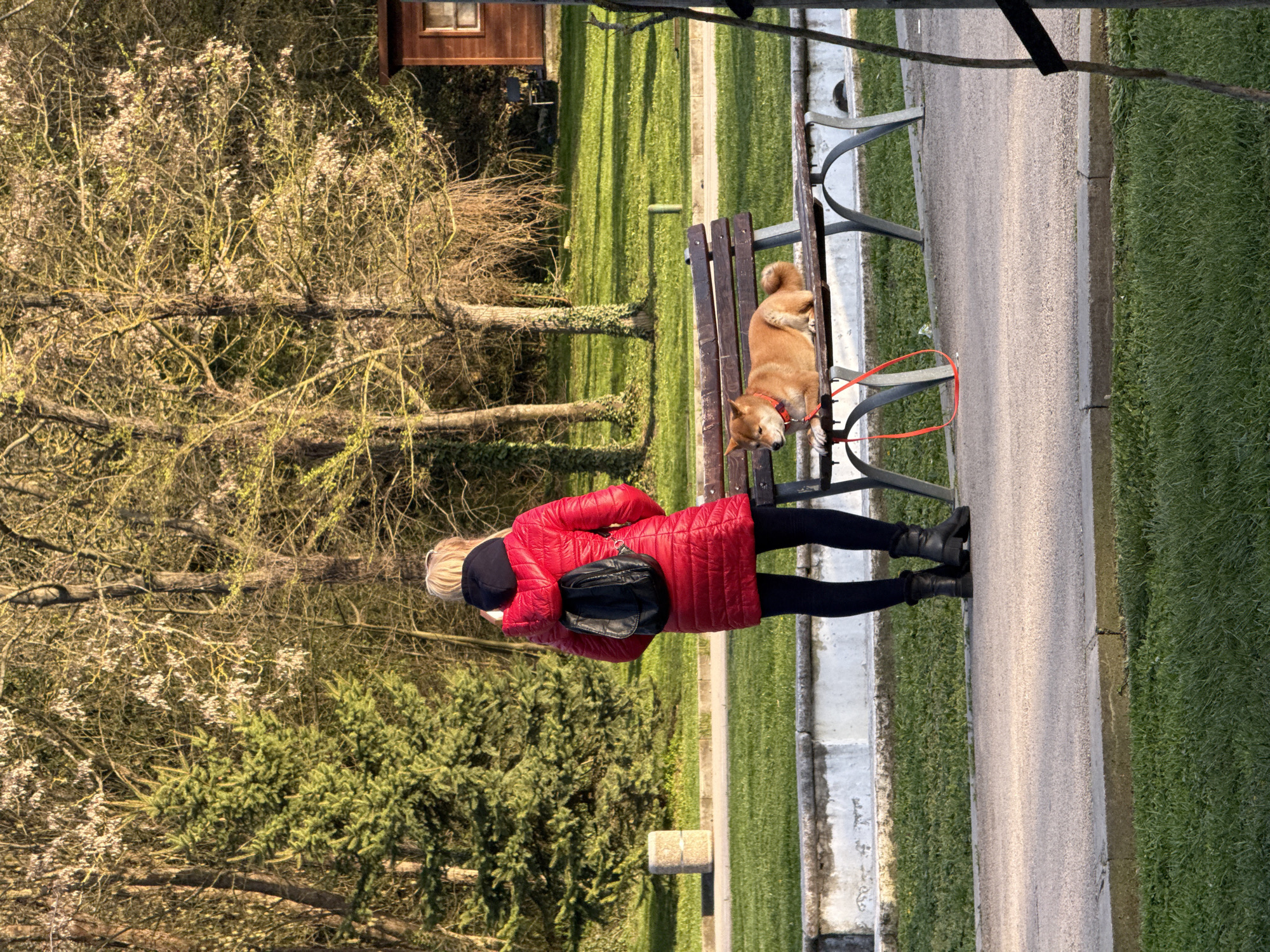 In a park setting in Dobrich, Bulgaria, a woman stands next to a bench where a Shiba Inu dog lies. The woman wears a red coat, black leggings, and black boots, with a black bag slung over her shoulder. The dog, attached to a red leash, rests on the bench. The background consists of trees, grass, and a pathway. A small wooden structure is visible in the distance.