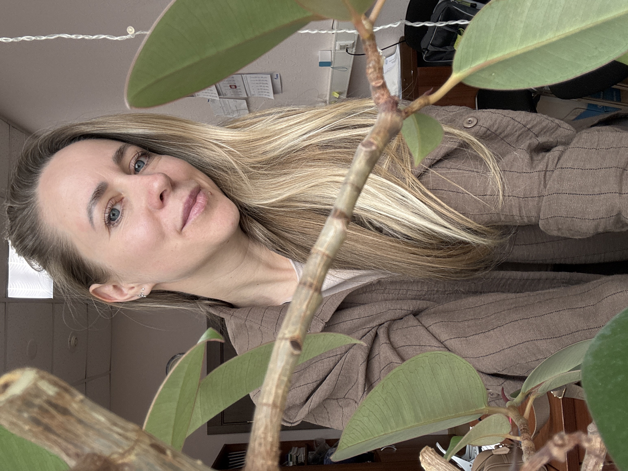 A woman with light-blonde hair is centered in the frame, looking towards the camera. She's wearing a brown pinstripe shirt. A ficus plant is positioned in the foreground, obscuring parts of her face and clothing with its trunk and leaves. The background includes a desk with office supplies, documents, and a string of decorative lights. The location is indicated as Chaikovsky, Russia, which cannot be verified from the image alone.