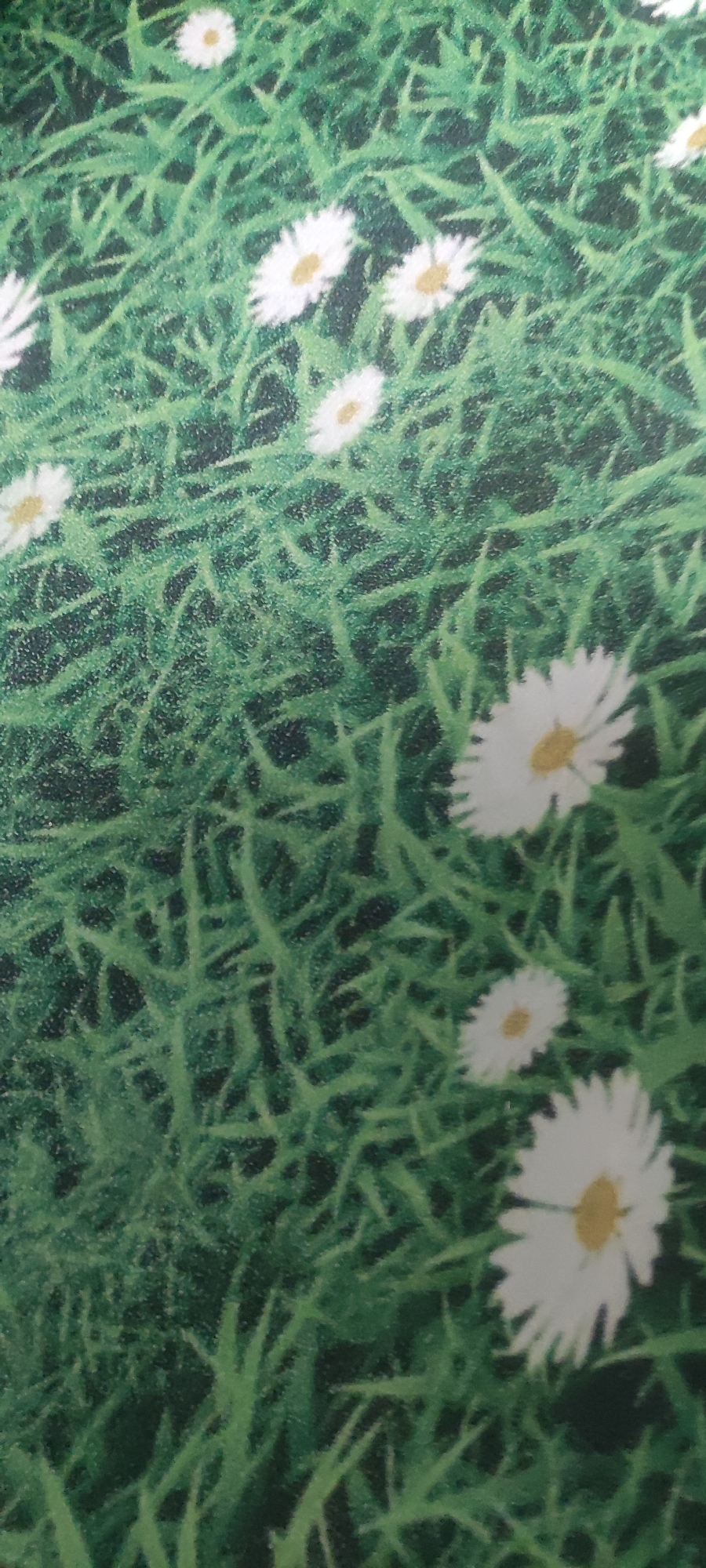 The image shows a close-up of a green, textured surface with several white daisies with yellow centers scattered across it. The surface appears to be a fabric or carpet, possibly a rug or floor mat, designed to resemble grass and flowers. There are no people or specific city elements visible in the image. The setting is abstract and decorative, not a natural outdoor environment.