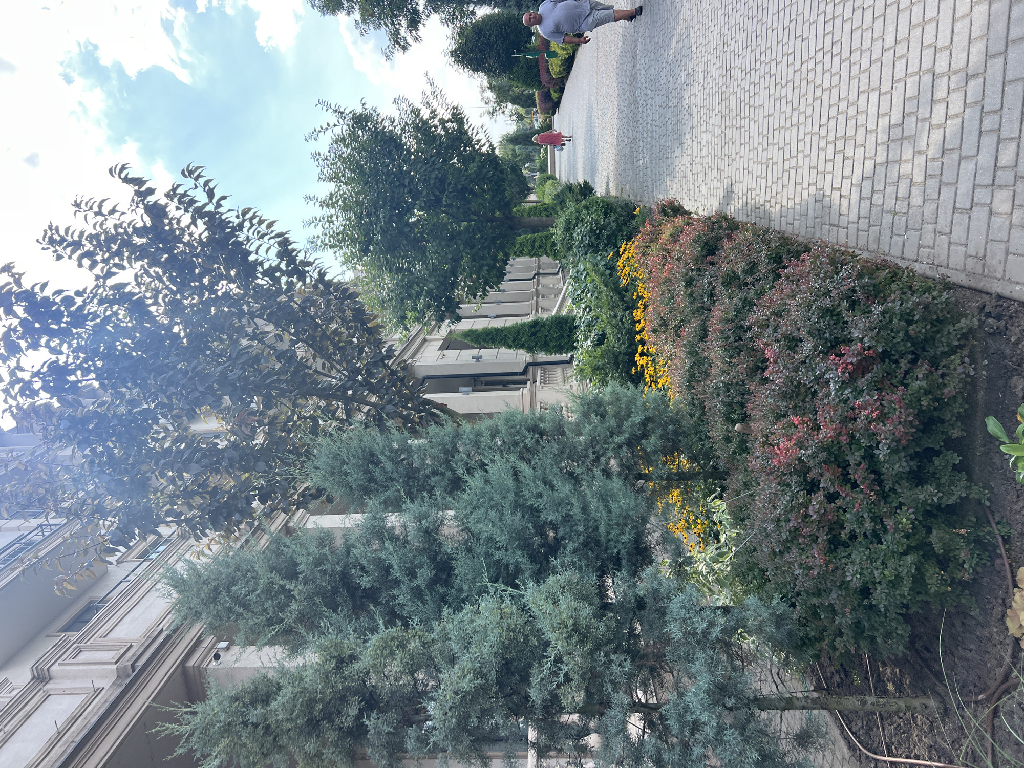 In Fontanka, Ukraine, a paved walkway runs alongside a building with a beige facade, adorned with architectural moldings and balconies. Flanking the walkway are manicured gardens featuring various trees and shrubs. Two prominent cypress trees stand to the left, followed by a row of flowering bushes with red and green foliage and clusters of yellow flowers. Further down the walkway, a person in a red dress walks away from the camera, while a man in a grey t-shirt and shorts walks towards the camera. The sky above is partly cloudy, with white clouds against a light blue backdrop.